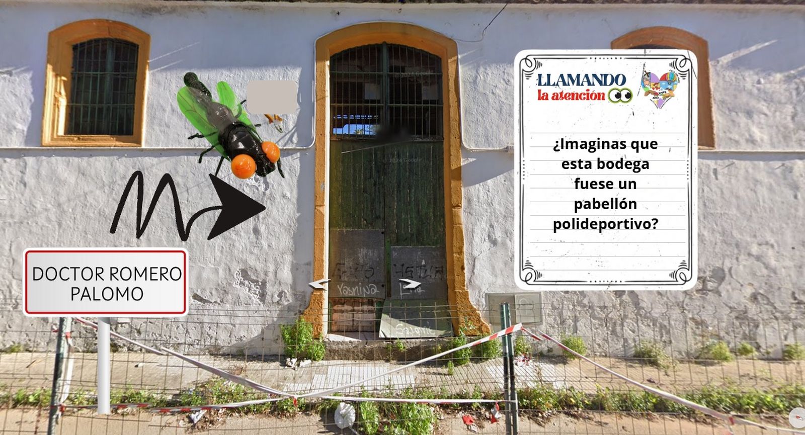 Algunas de las iniciativas que han llevado a cabo el alumnado del colegio Luis Vives.