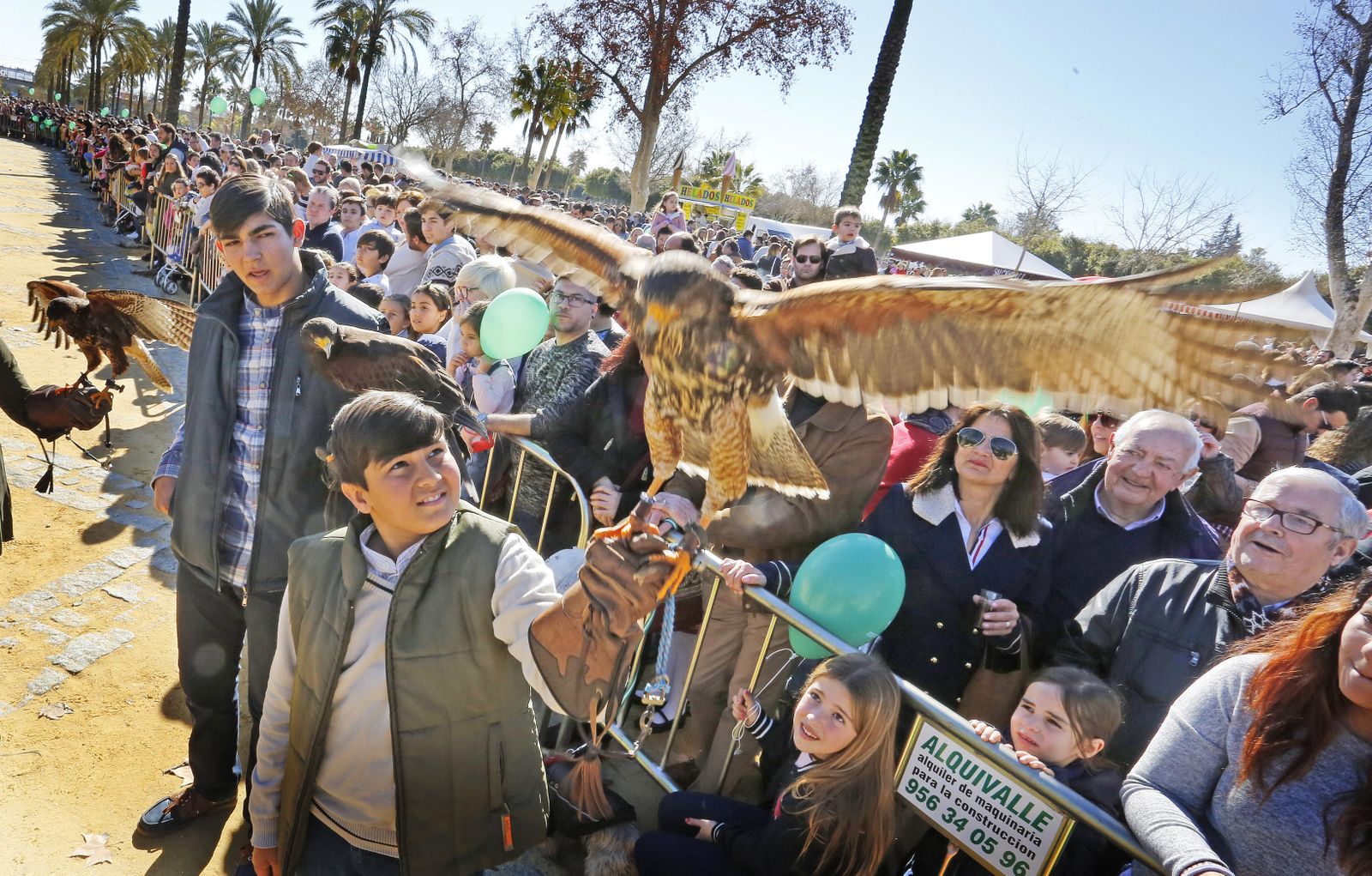 Las imágenes de la fiesta de San Antón