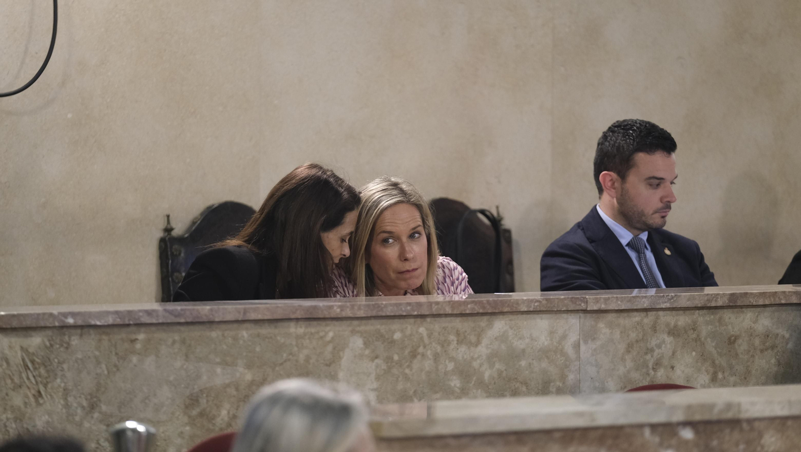 Imágenes del pleno ordinario del Ayuntamiento de Almería