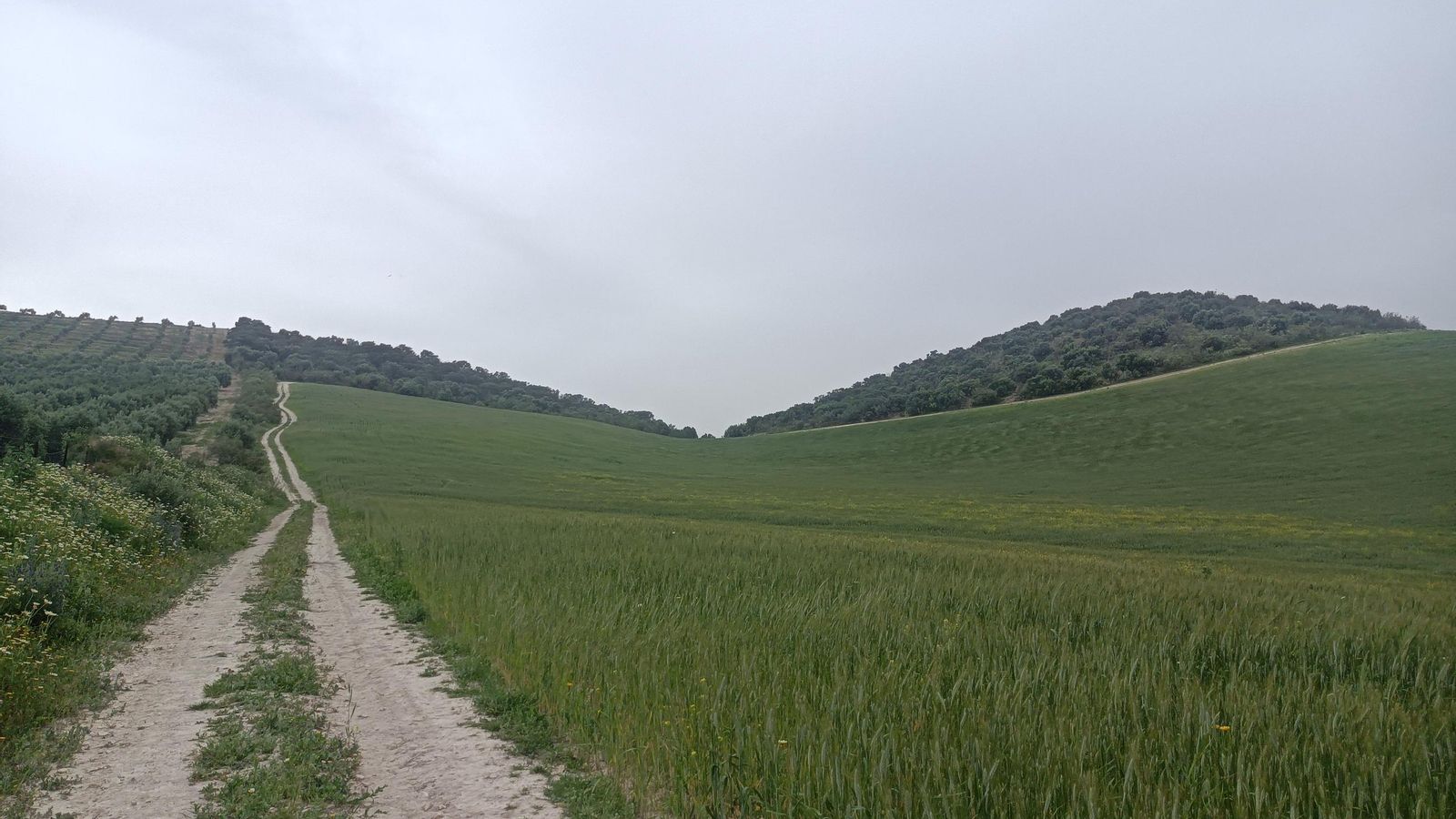Comienza la subida al Puerto del Viento.