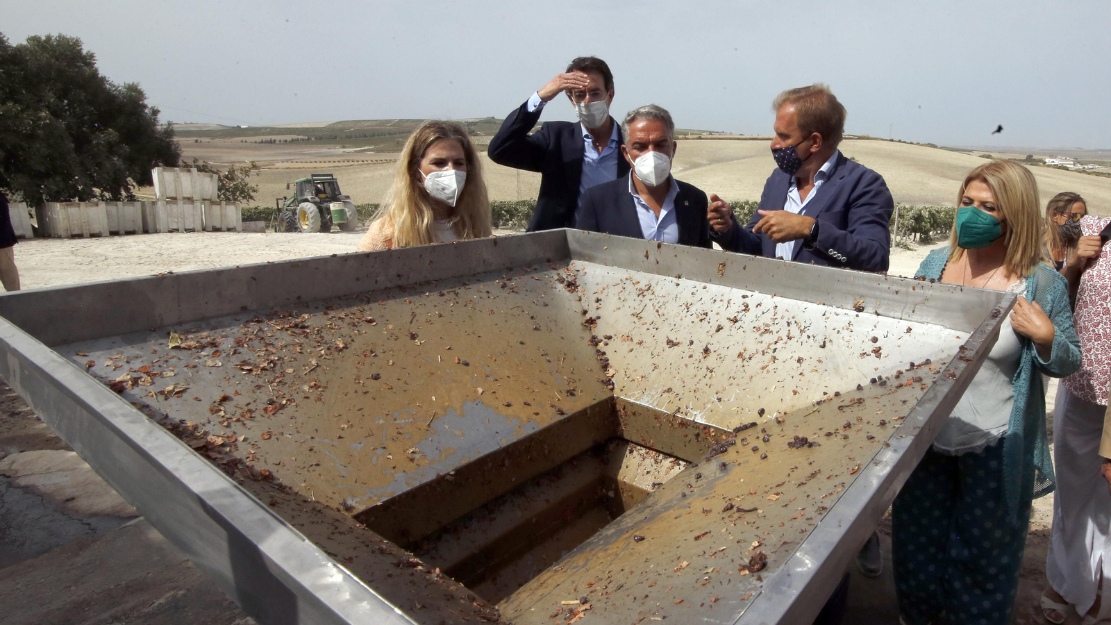 Elías Bendodo visita la viña de Pedro Ximenez de González Byass