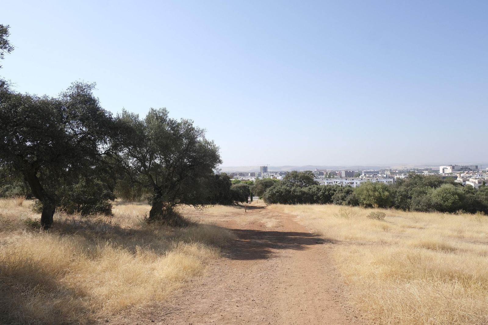 Así luce El Patriarca tras las obras para convertirlo en un parque periurbano