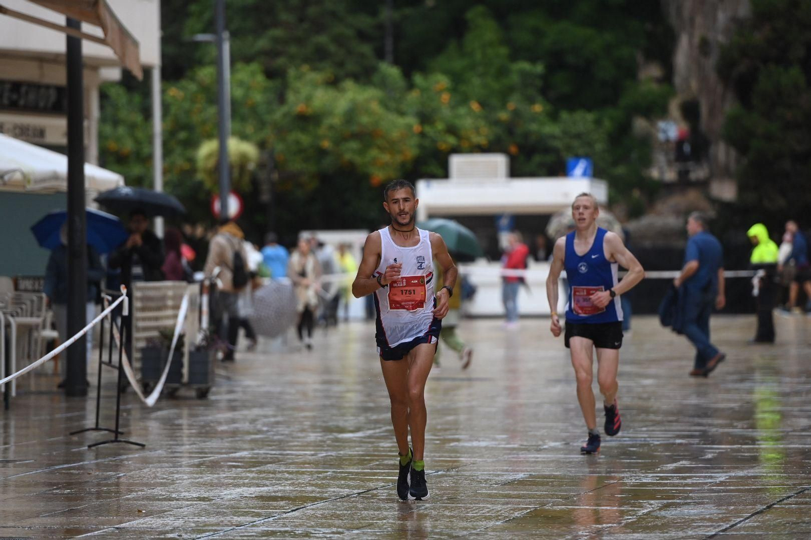 La Maratón de Málaga 2022, en fotos
