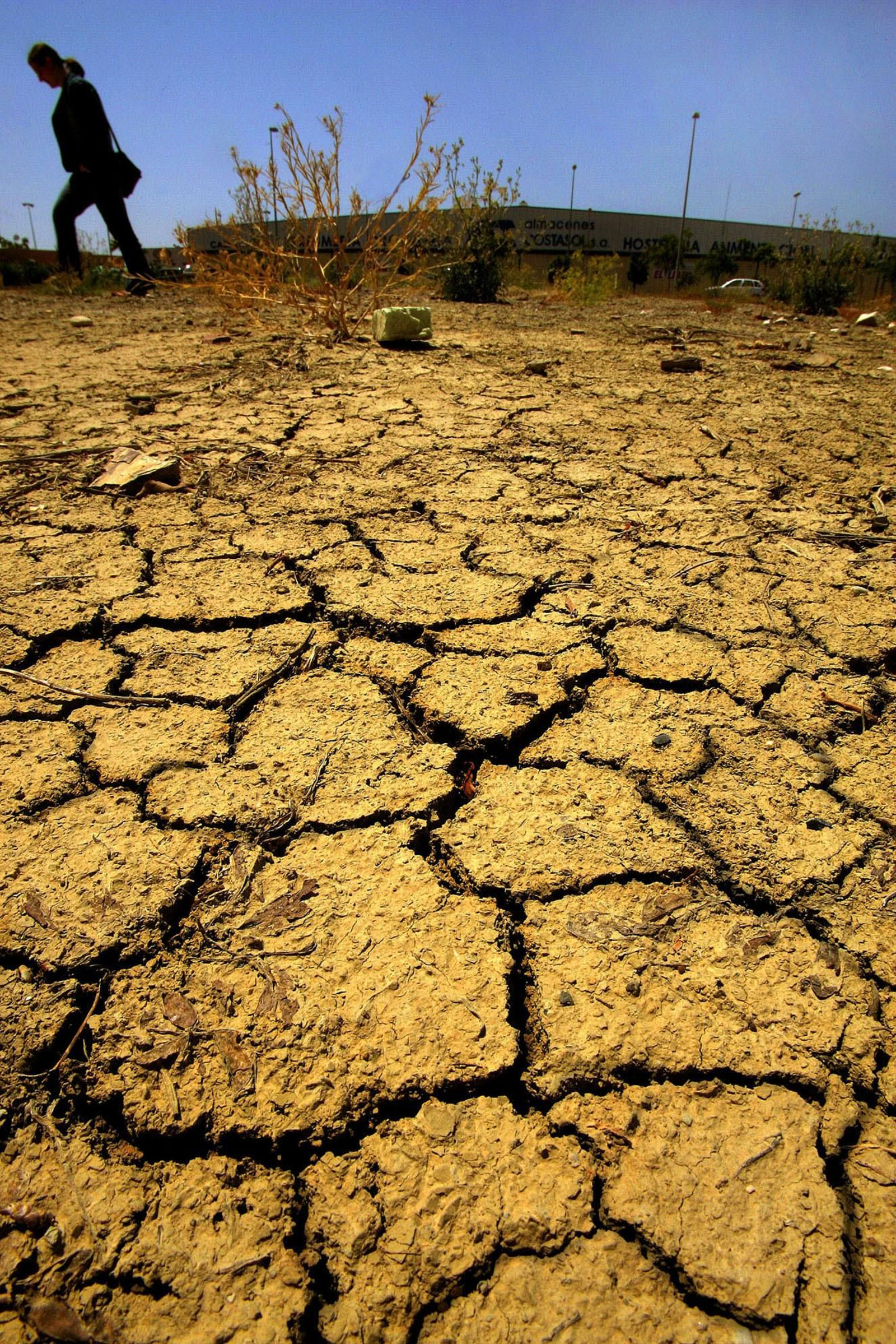 La gestión del agua y la solidaridad entre las diferentes cuencas es fundamental ante la escasez de recursos.