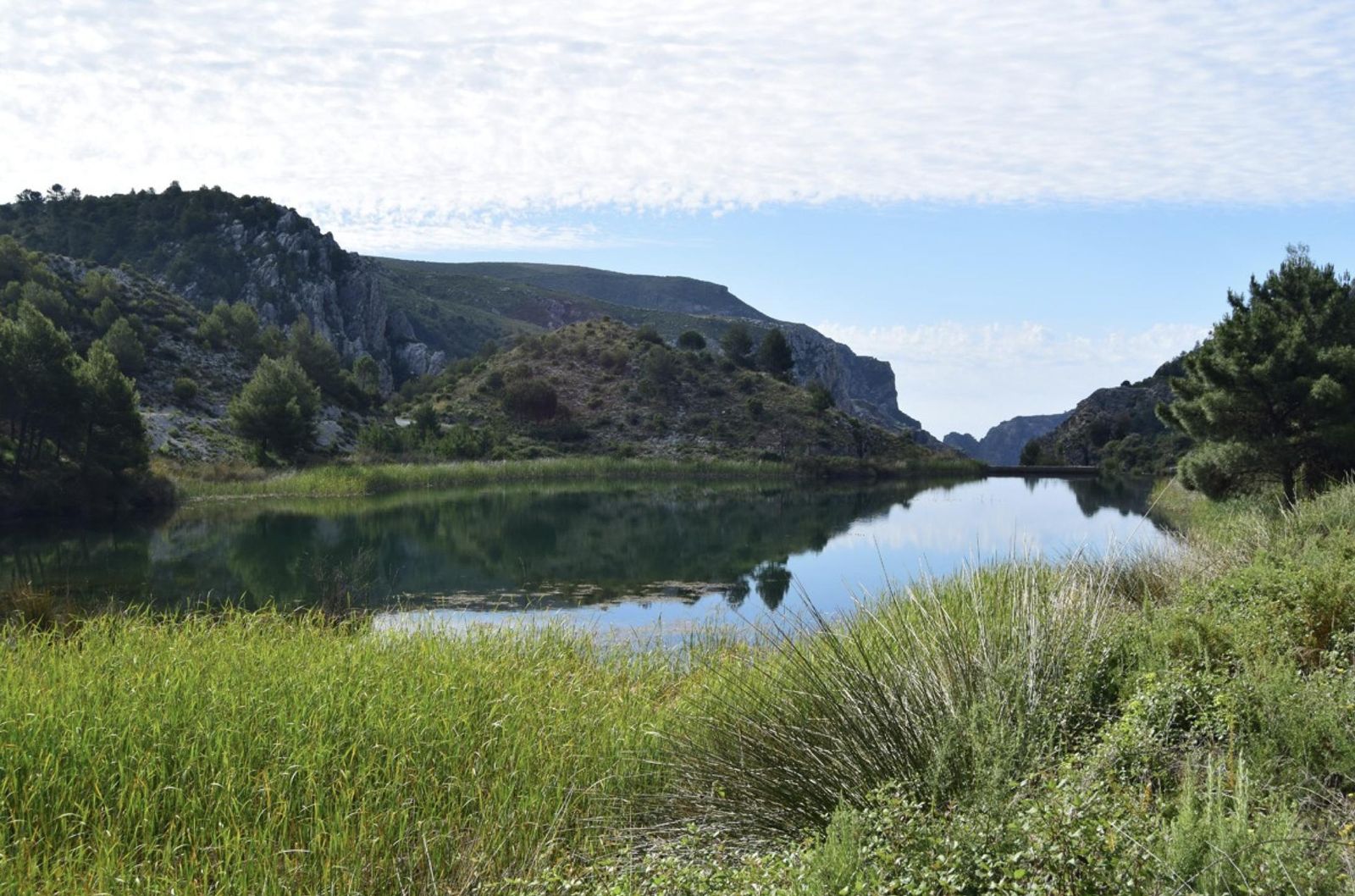 Pantaneta del Barranco de la cueva de Funes