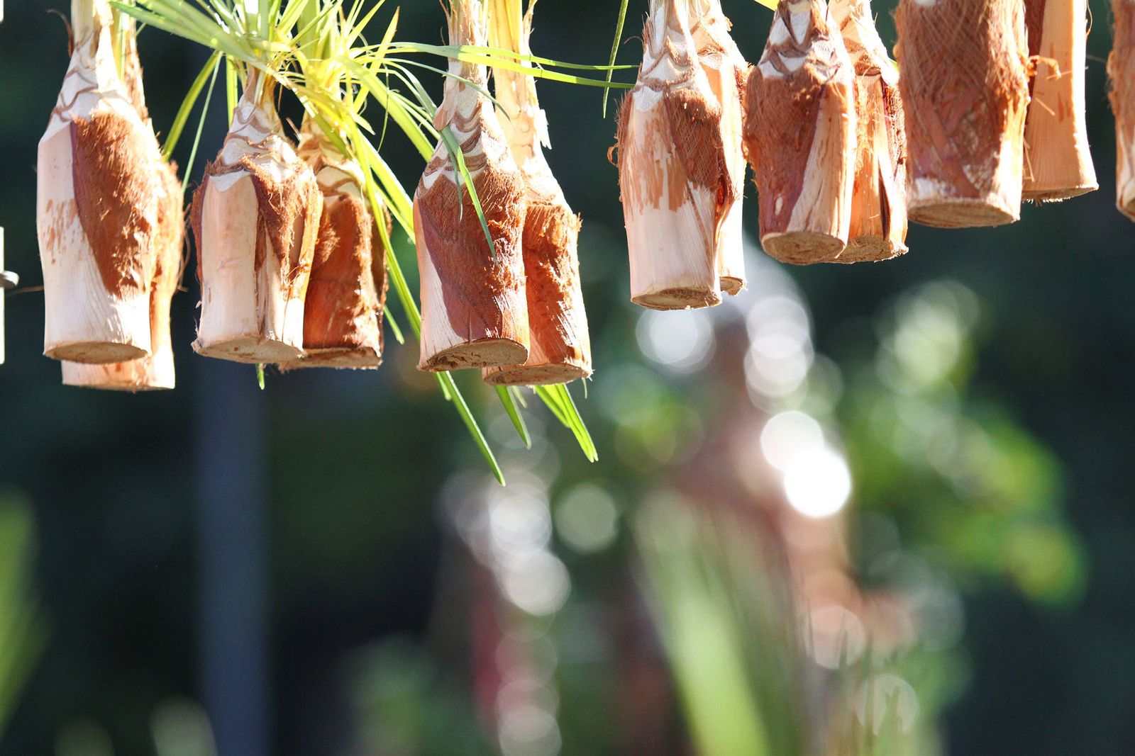 La procesión de San Sebastian en Imágenes.