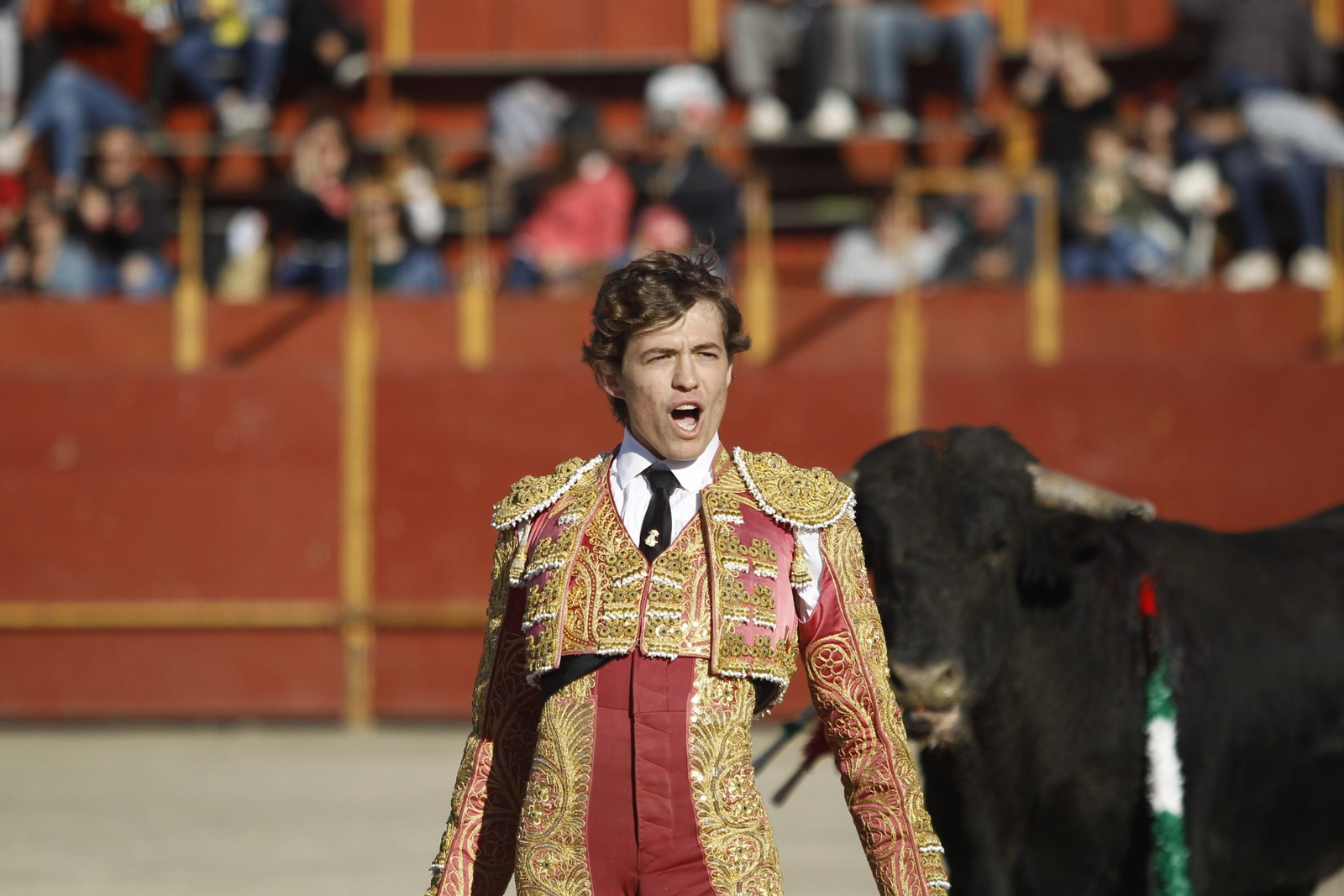 Fotogalería Novillada Fiestas de Abrucena