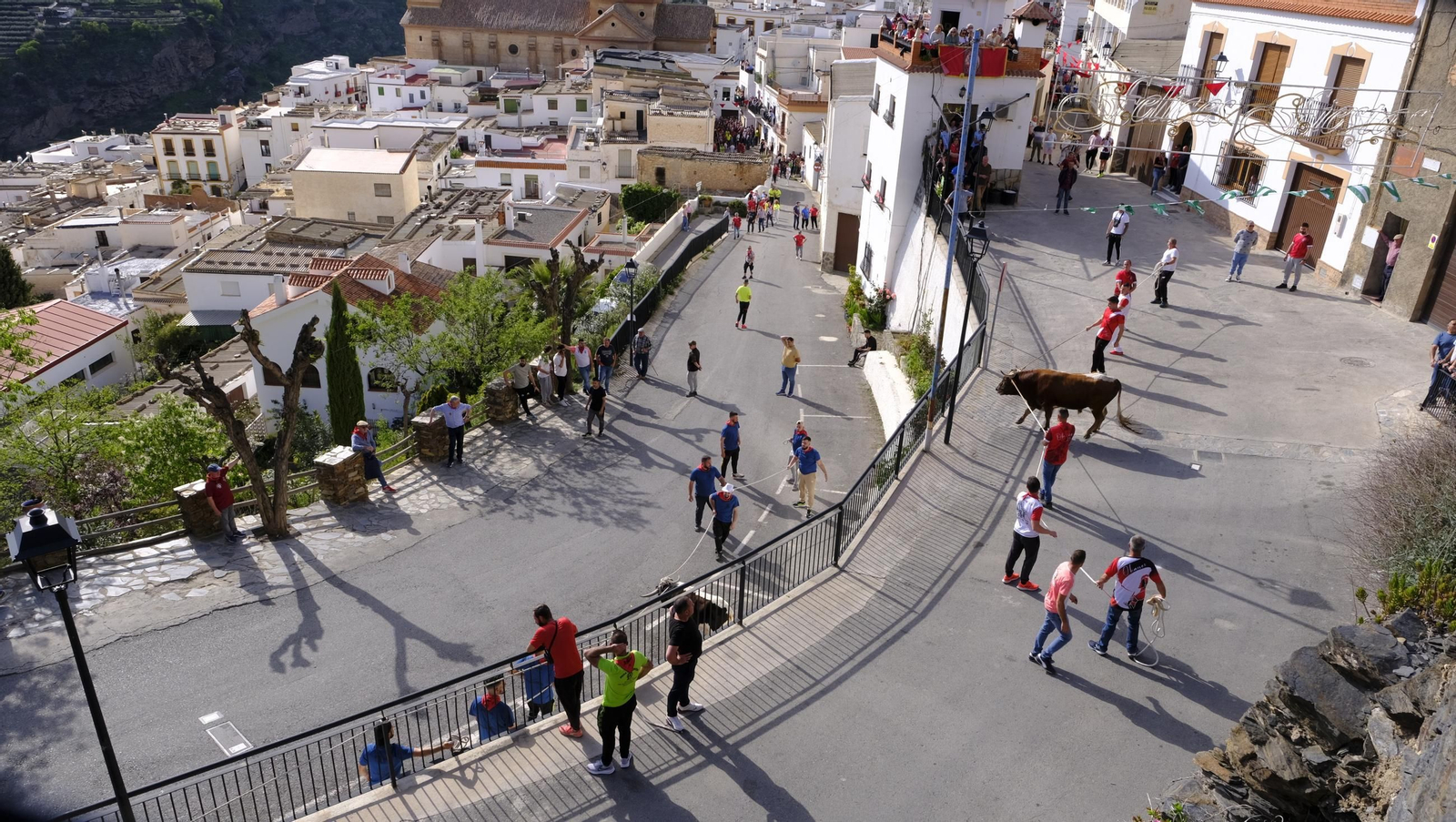 Los toros ensogados de Ohanes, en imágenes