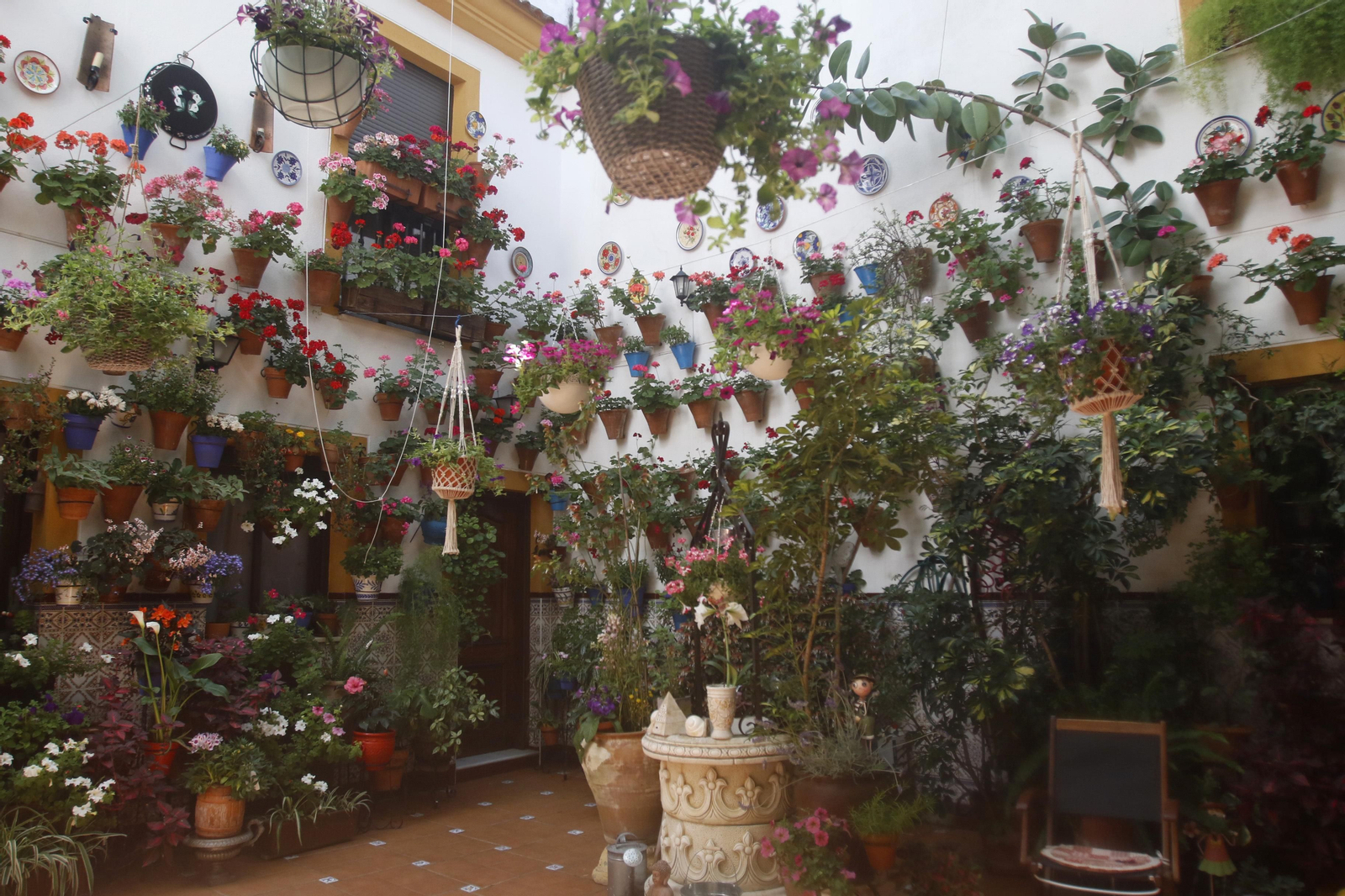 Ruta San Lorenzo de los Patios de Córdoba, en imágenes