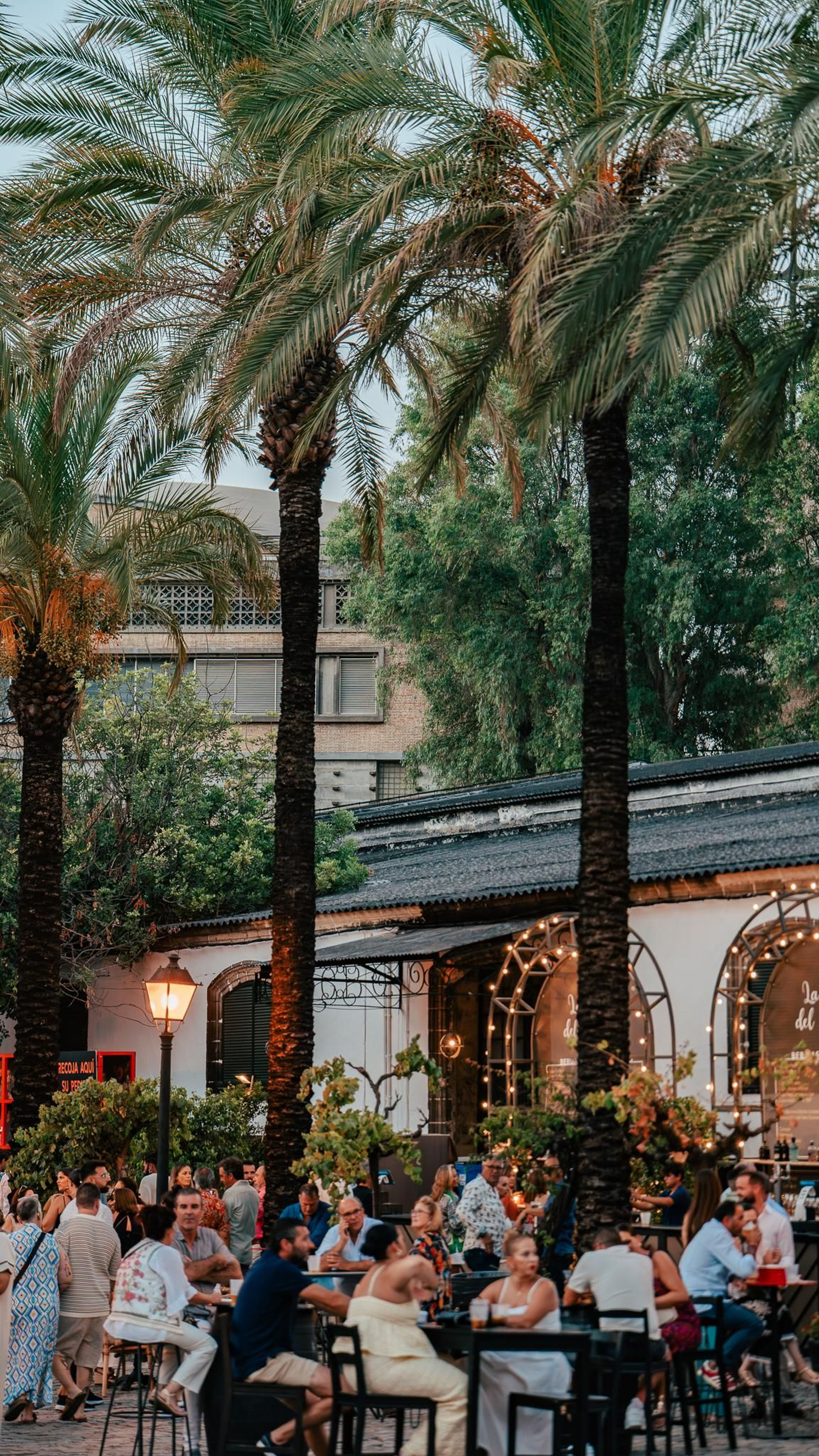 Las imágenes del concierto de Rancapino Chico en Tío Pepe Festival en Jerez