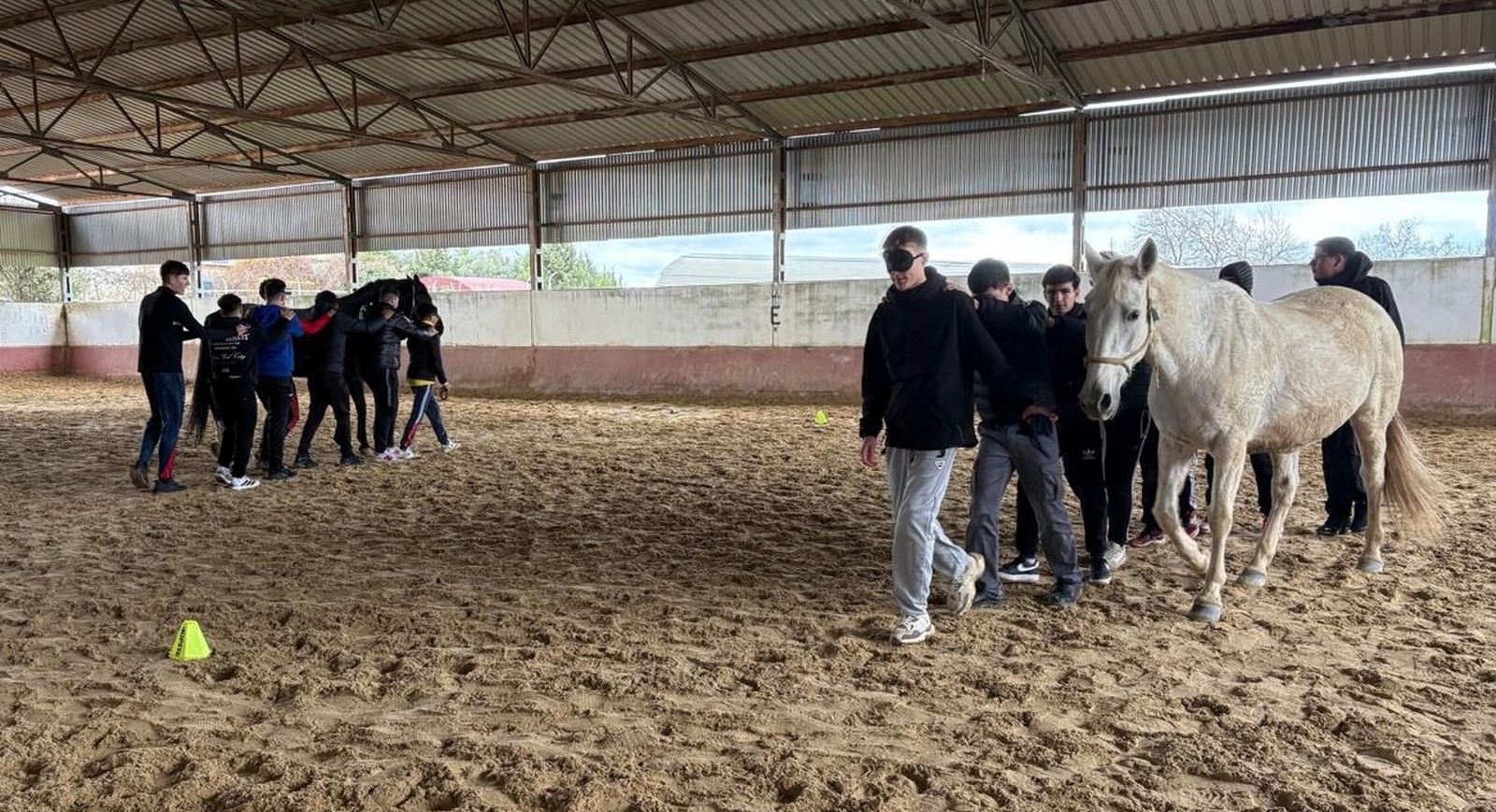 Talleres de Inteligencia Emocional y Coaching con Caballos organizados por la asociación Equhos, Sapientia et Vita.
