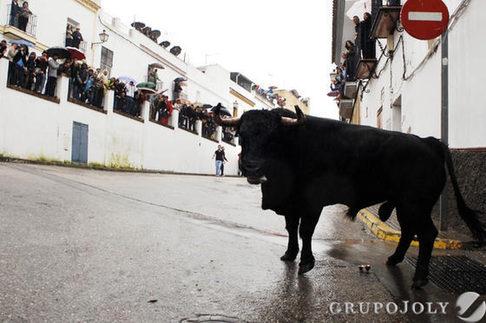 Arcos

Foto: Ramón Aguilar