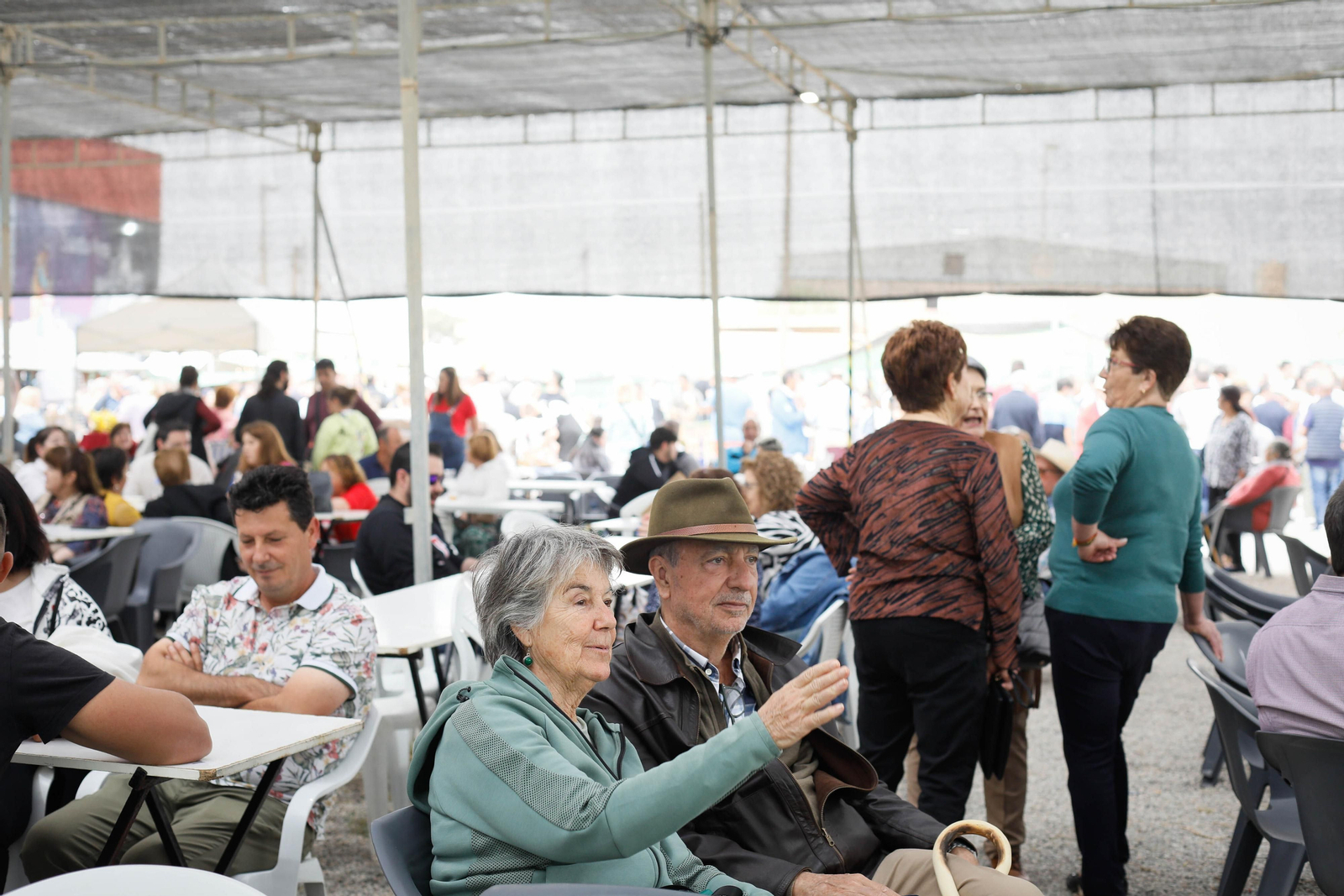 Galería de la Feria  de ganado en Tarambana