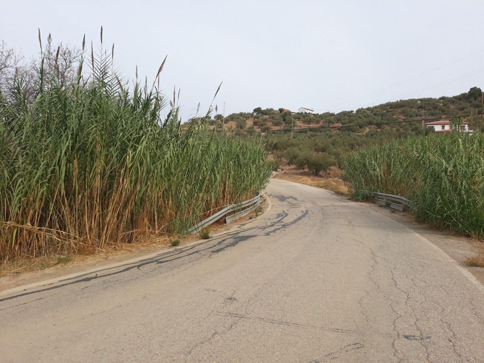 Carretera sobre la que se actuará.