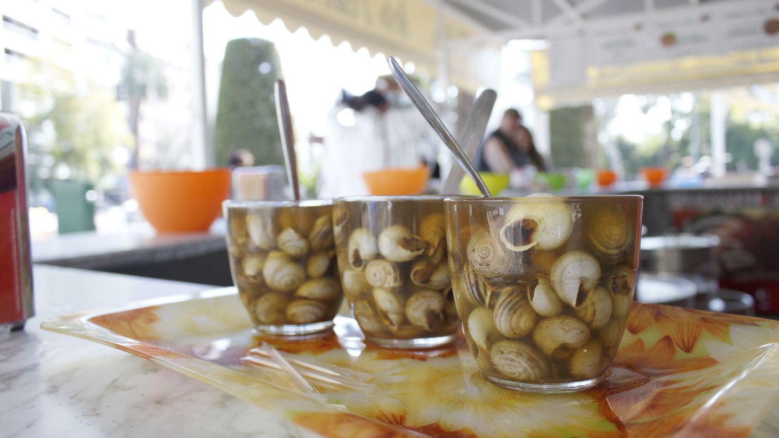 Caracoles en Los Patos.