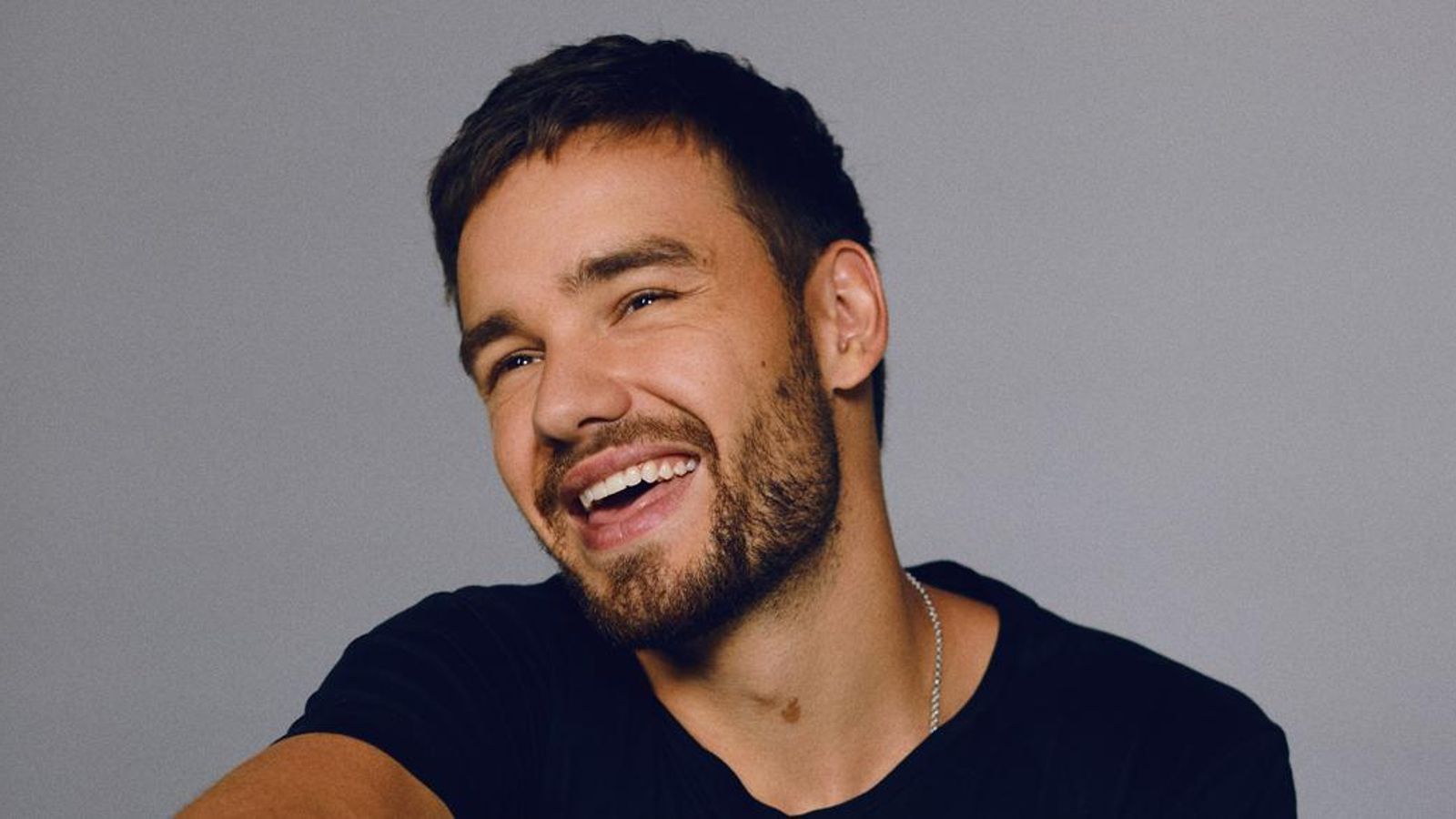 Liam Payne, músico