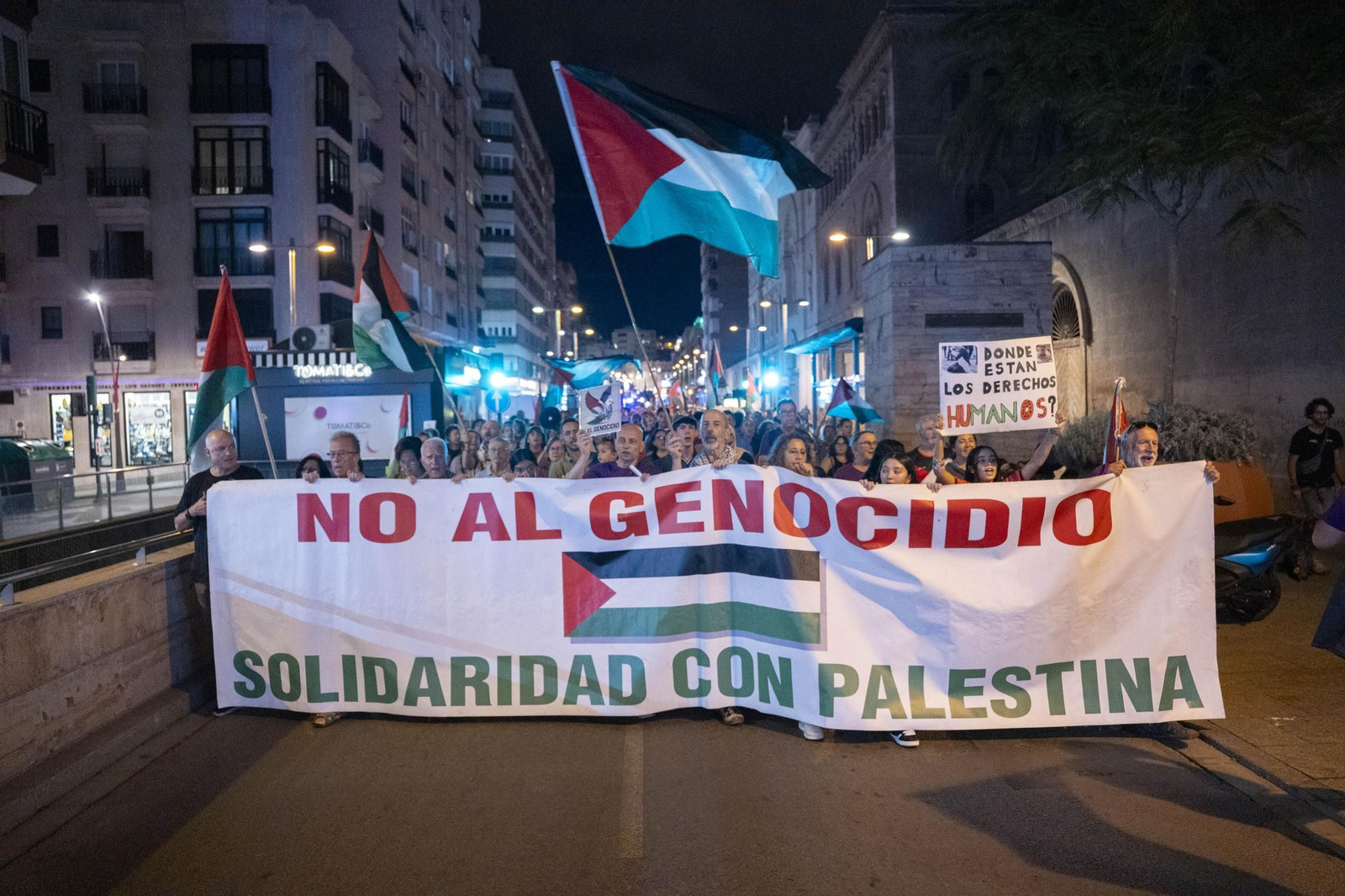 La Plataforma Almería por Palestina se manifiesta por la situación en Gaza, en imágenes