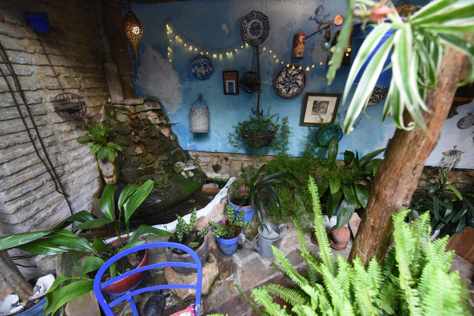 Los Patios de la ruta de San Lorenzo, en imágenes