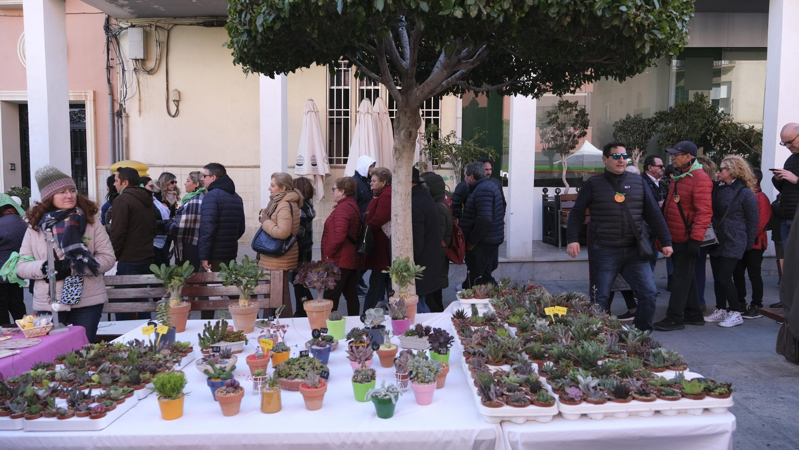 Imágenes del Día de la Naranja, en Gádor