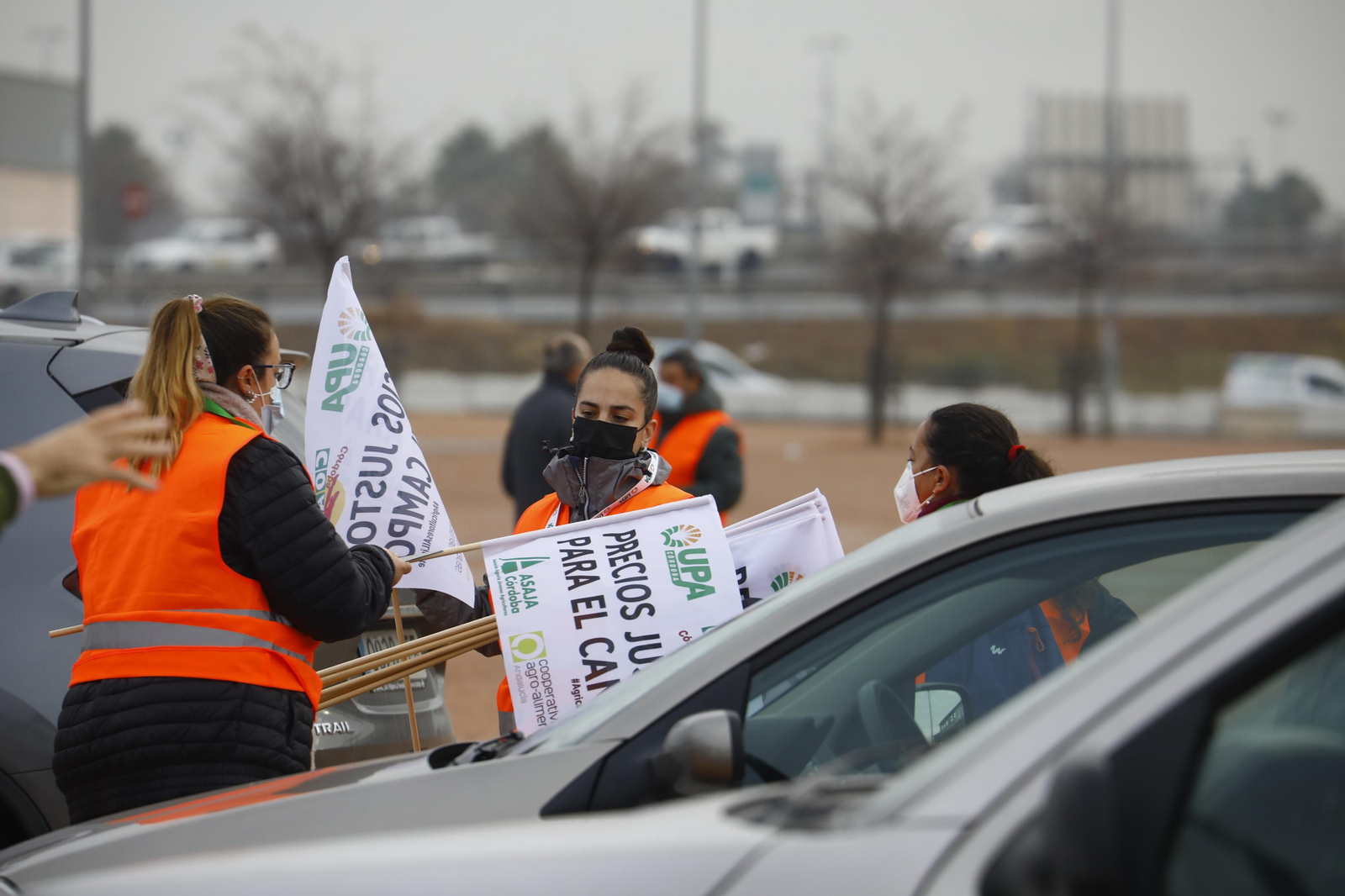 La marcha de protesta del sector agrícola en Córdoba, en imágenes