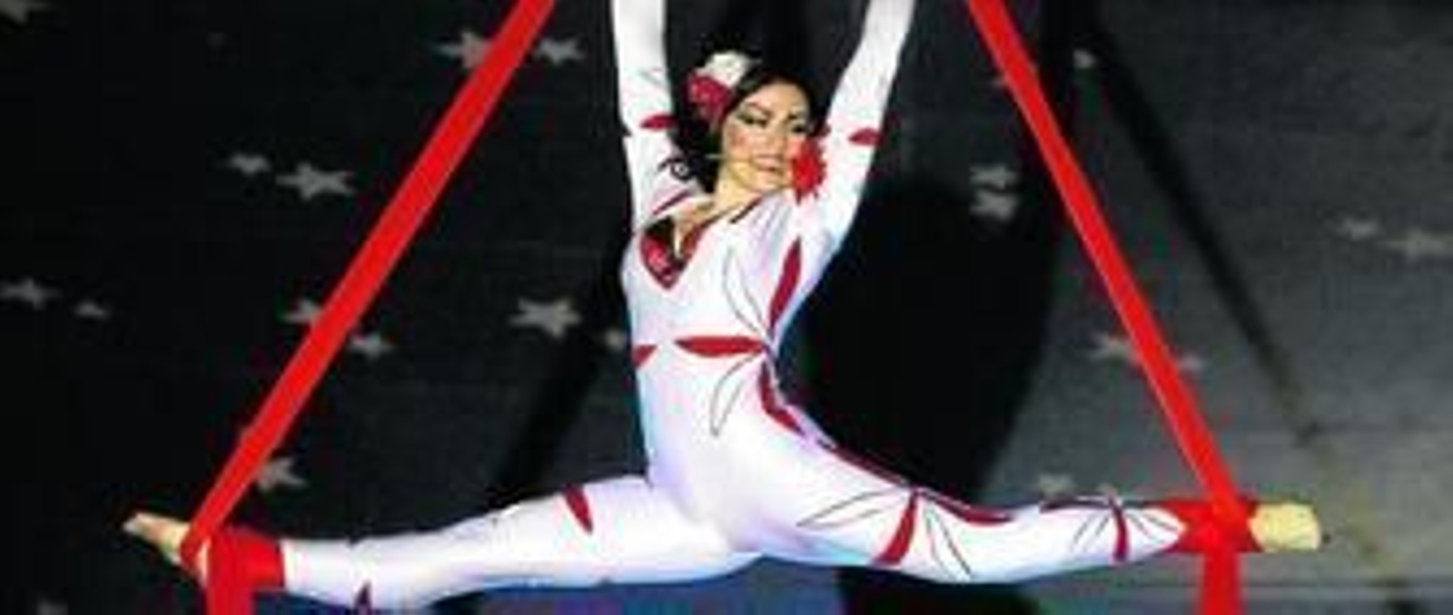 Exhibición circense de los animales