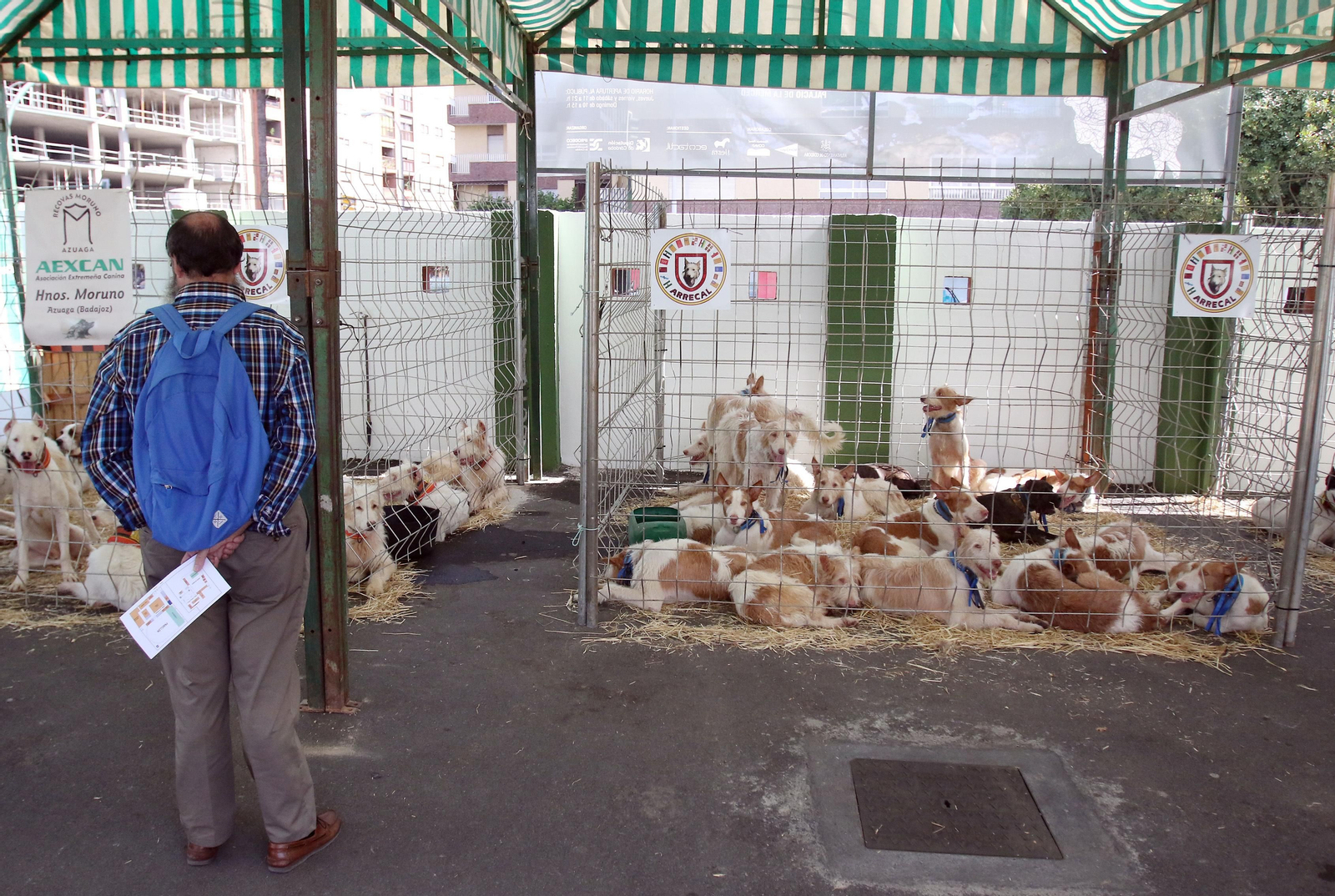 Inauguración de Intercaza 2017