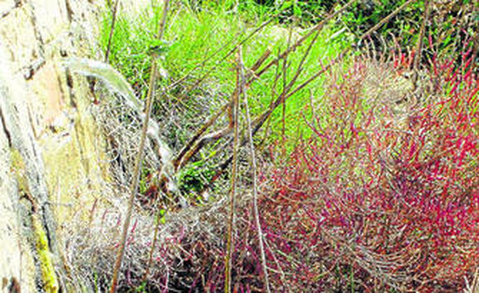 Una de las fugas de agua potable del Puente Zuazo.