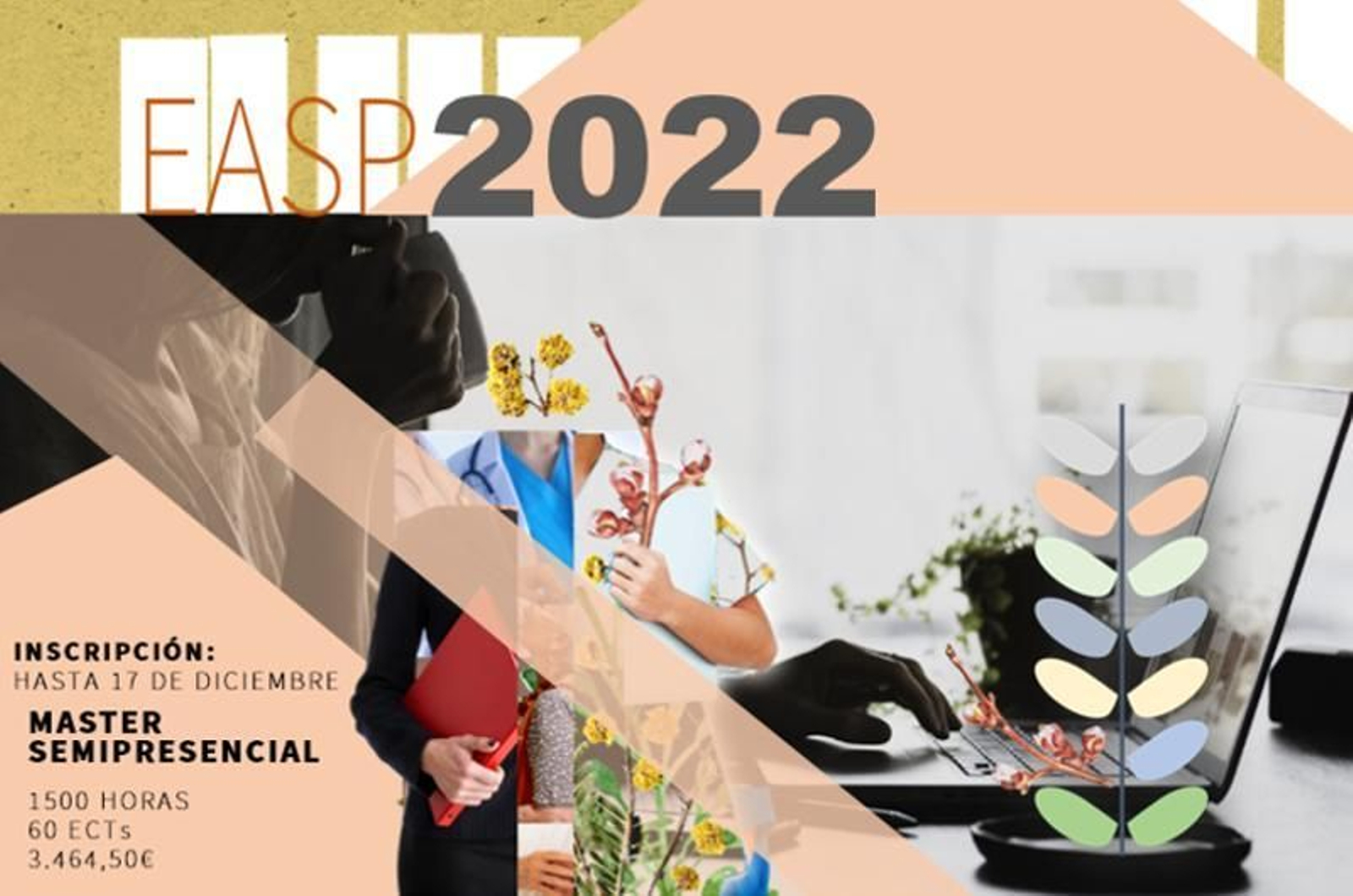 Cartel informativo del máster