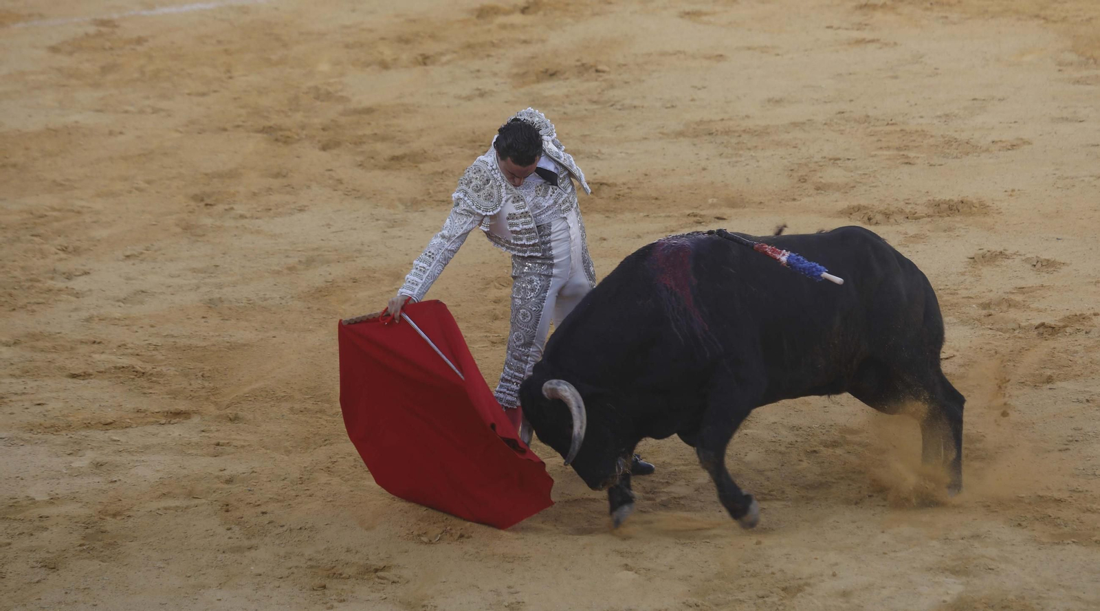 Las fotos de la corrida de toros de David Galván, Daniel Luque y Joaquín Galdós en San Roque