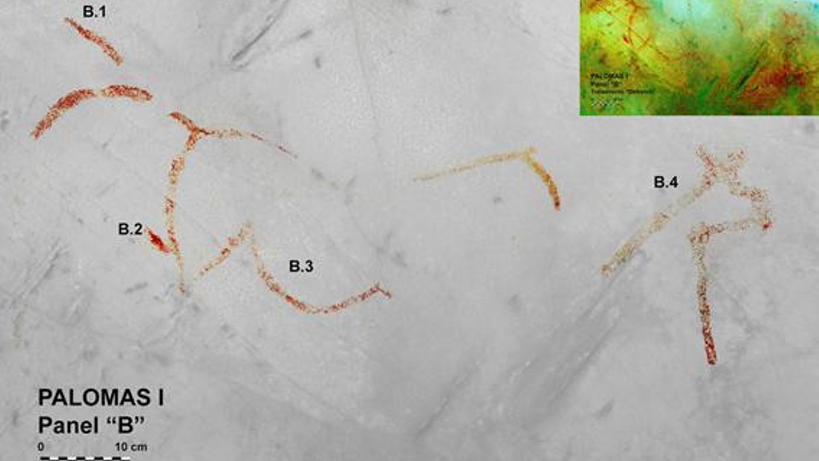 Palomas I panel B paleolítico y calco.