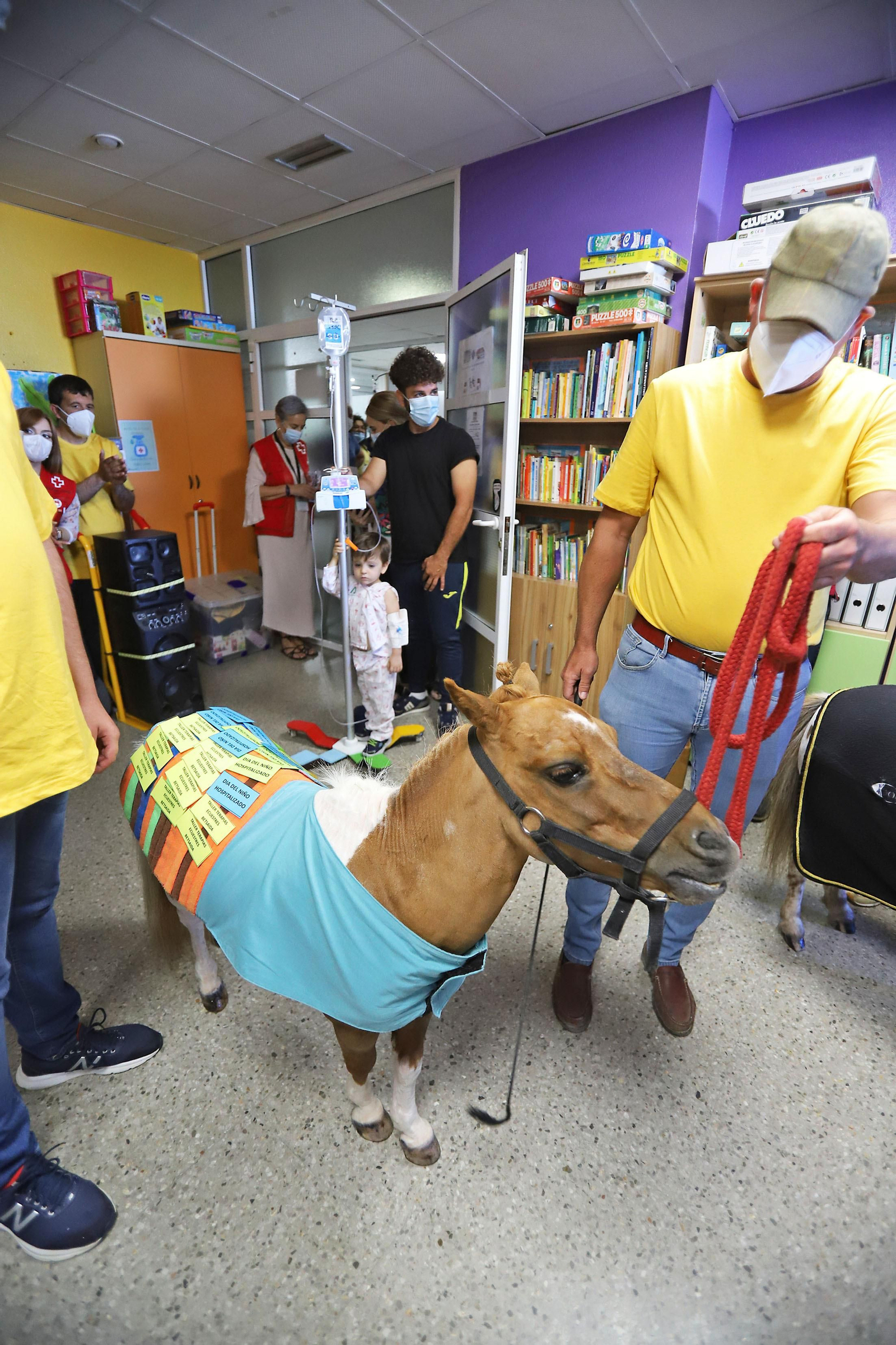 Los niños hospitalizados en el Juan Ramón Jiménez reciben la inesperada visita de unos caballos