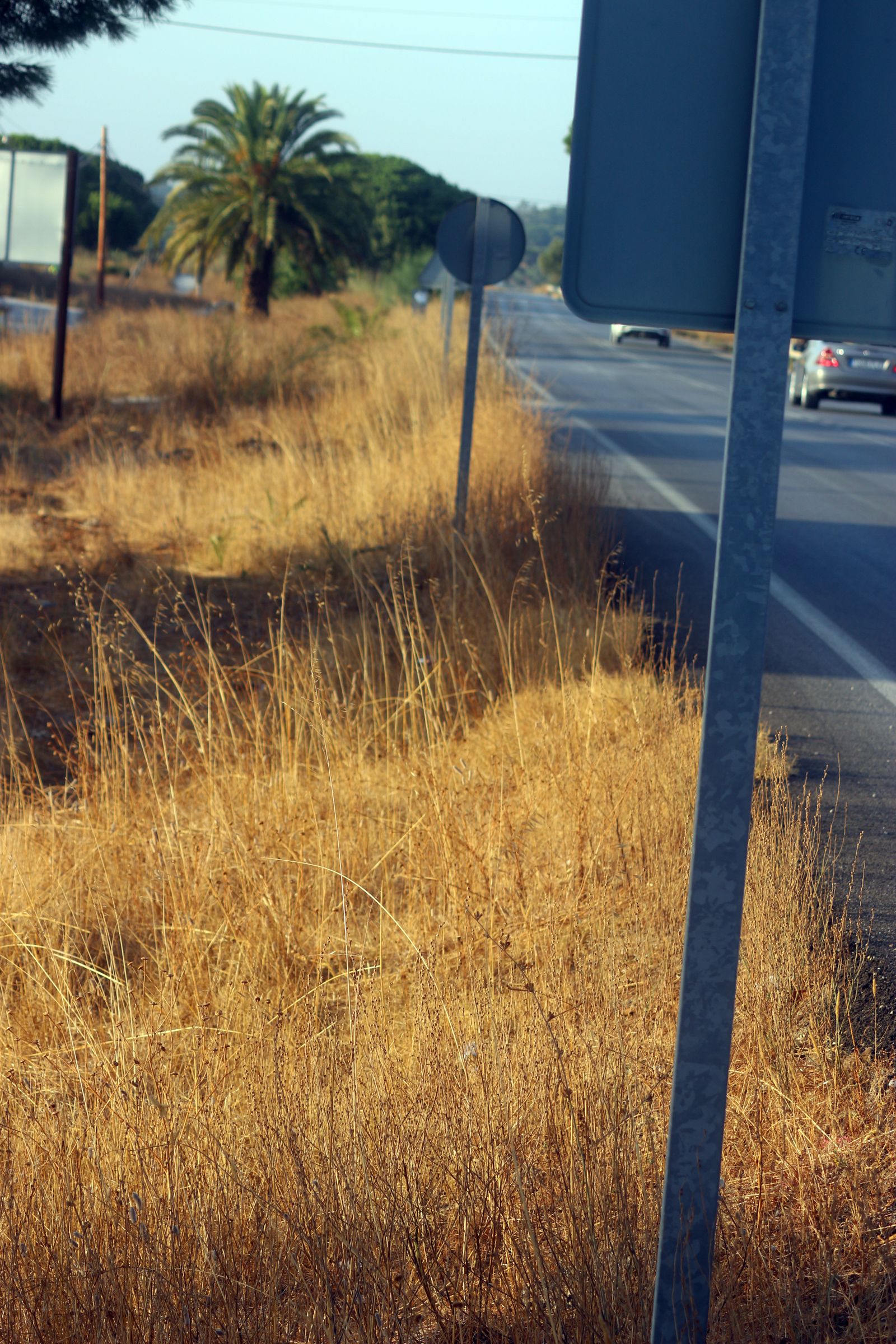 Barriada de El Marquesado, en Puerto Real