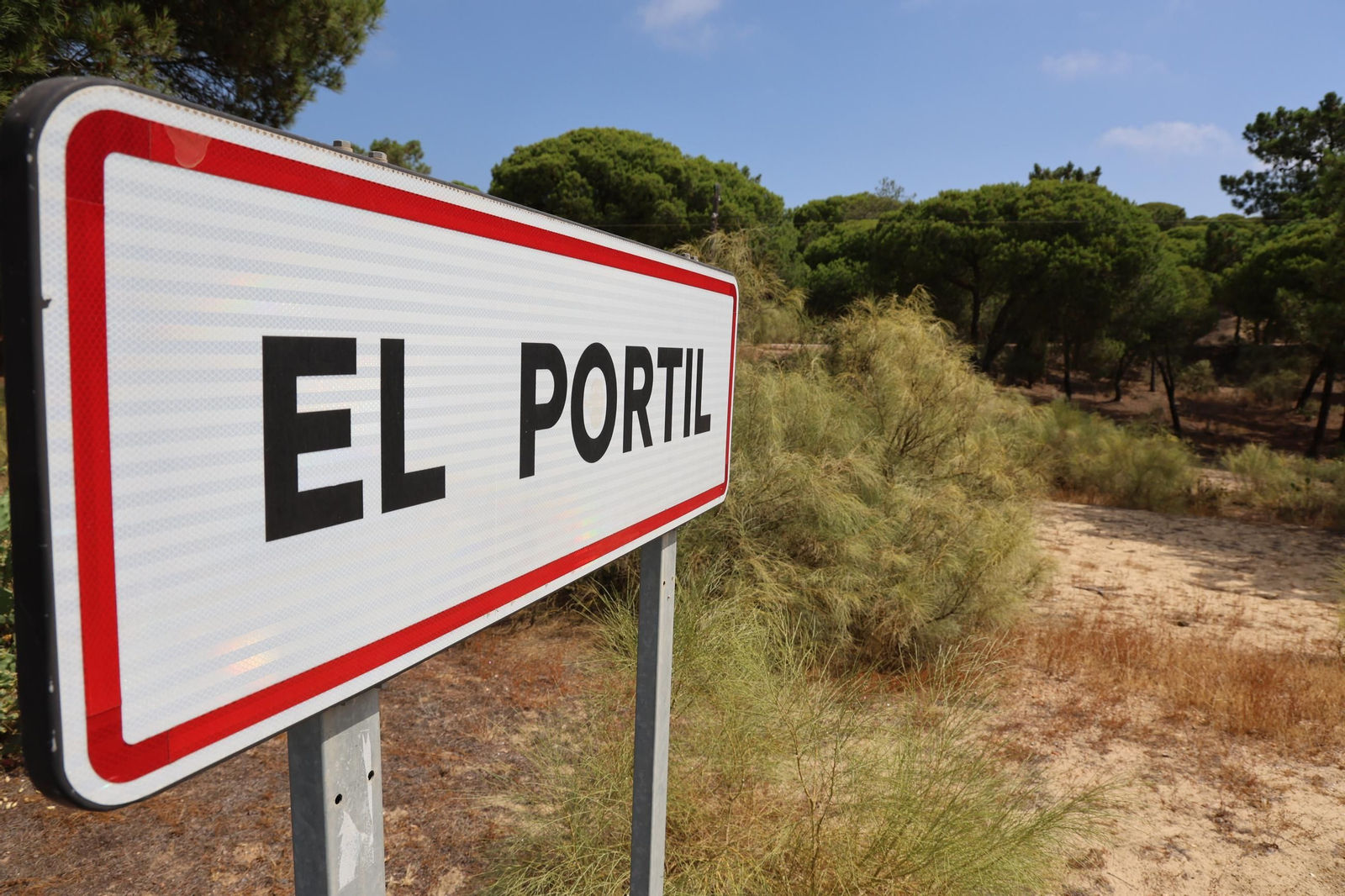 Imágenes de la diversa vegetación de las Dunas del Portil
