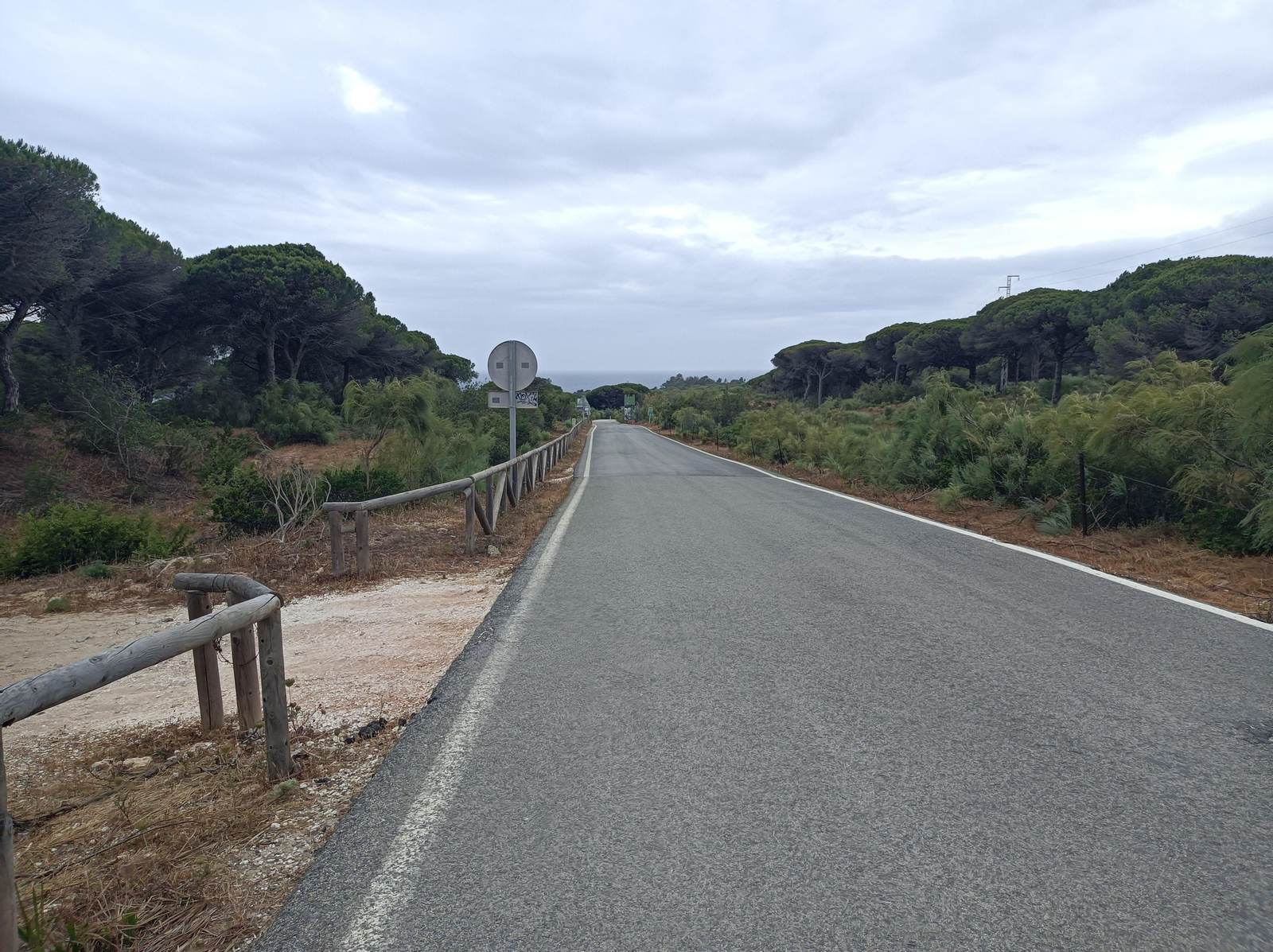 La carretera por Punta Paloma.