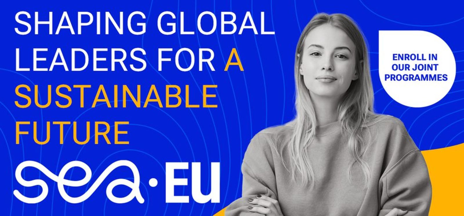 Cartel promocional de estos grados europeos.