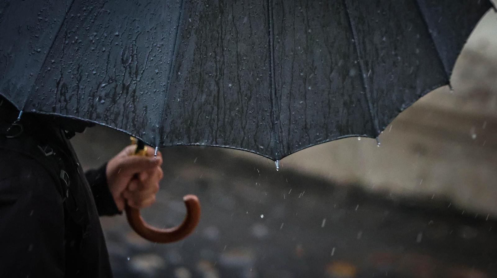 Vuelve la lluvia a Jerez