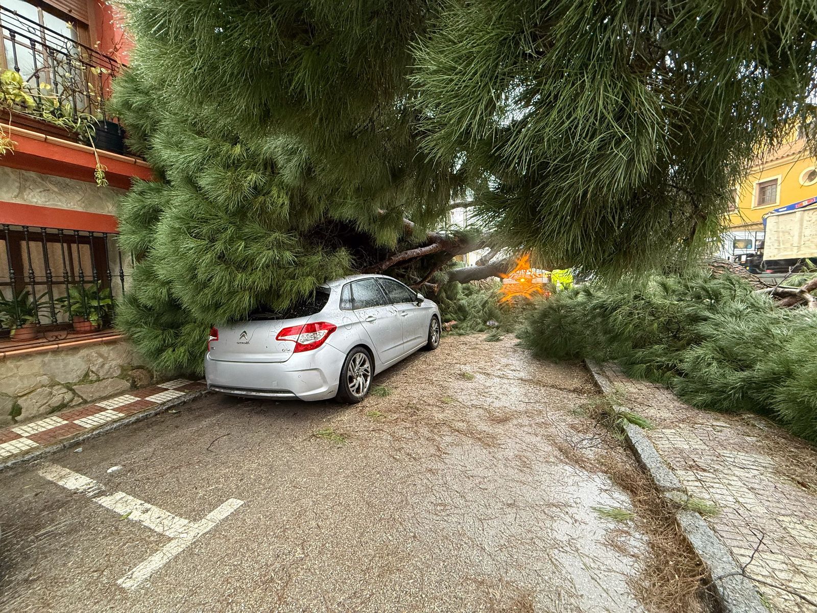 Fotos: Así amaneció el Campo de Gibraltar tras el paso de la borrasca Leonardo