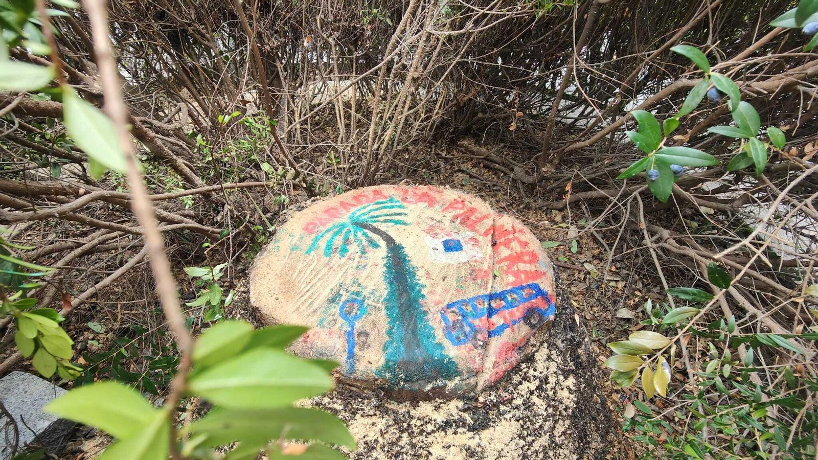 Tocón de la palmera decorado