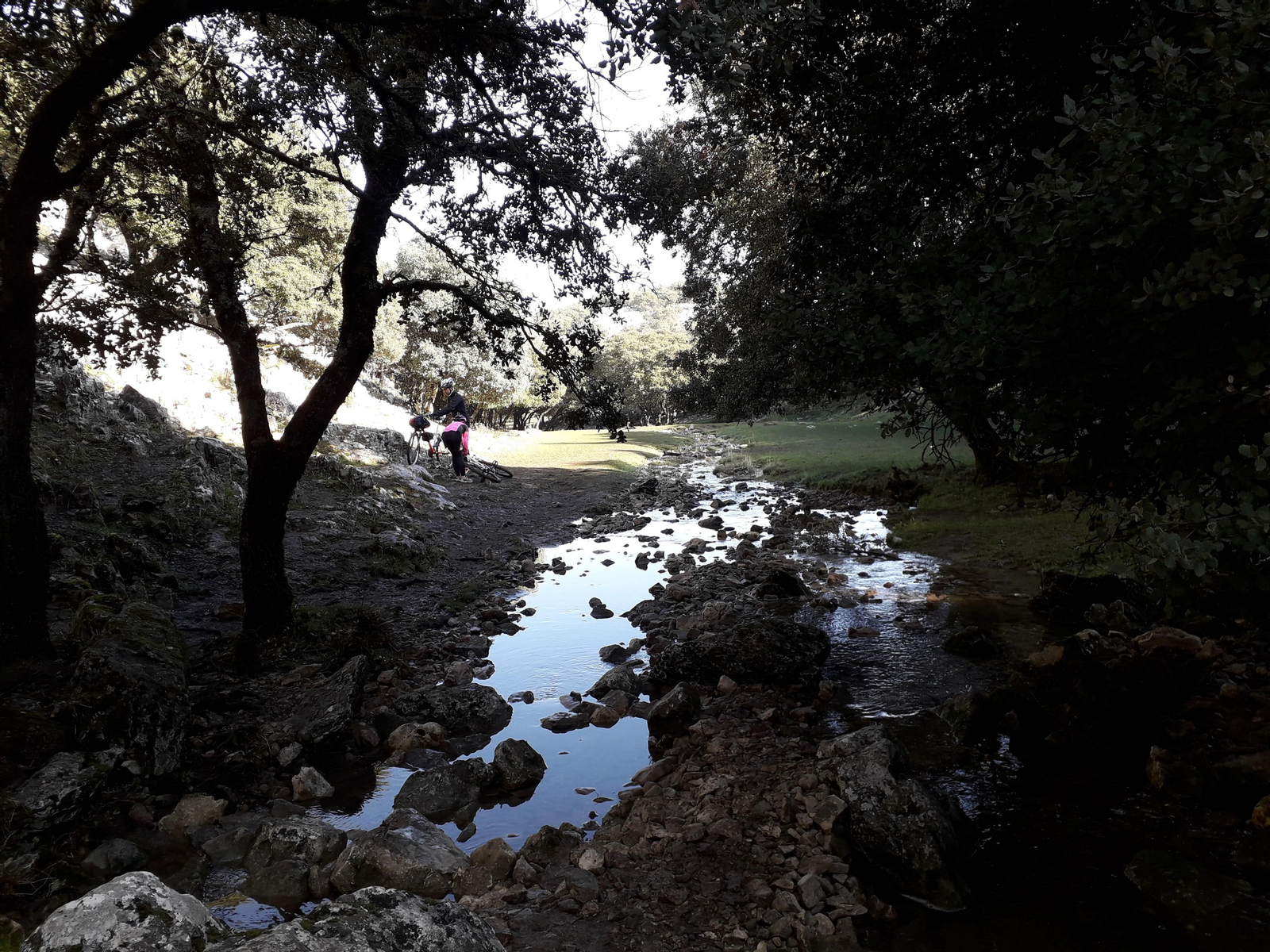 Bosque mediterráneo. Los ríos de Córdoba se llenan de vida