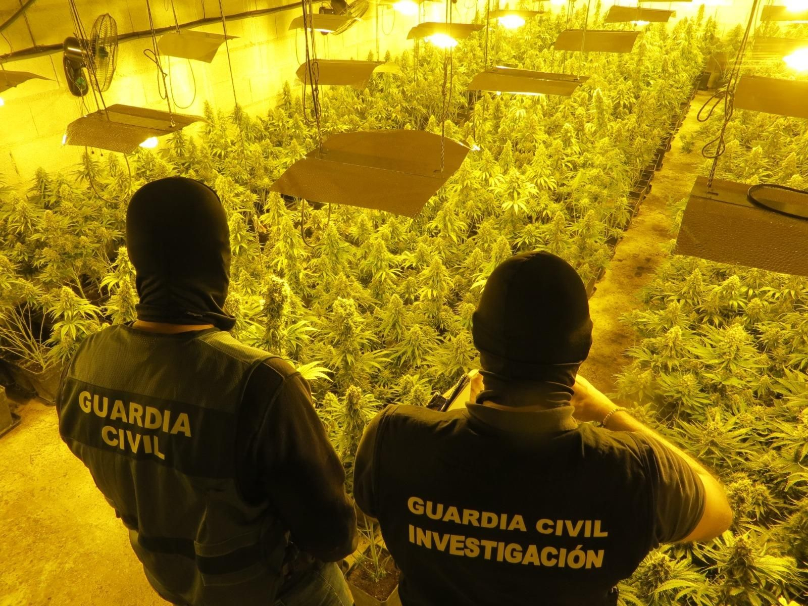 Imagen del zulo desmantelado en el que se cultivaba la marihuana