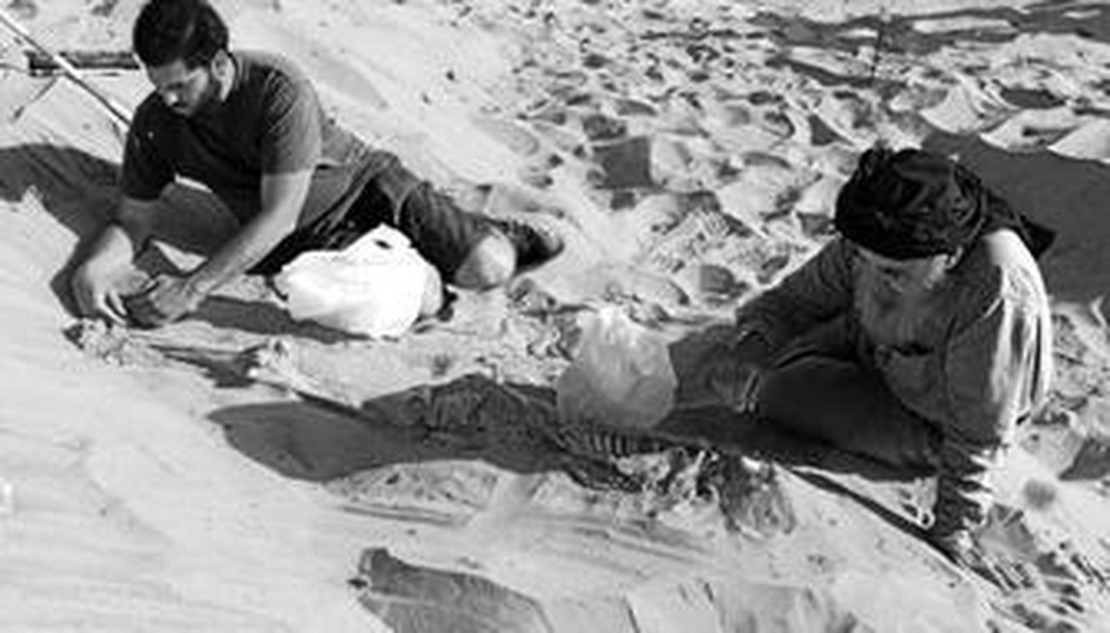 1 y 2. Los profesores Miguel Botella y Ángel Rubio, también de la Universidad de Granada, que ha acompañado al profesor durante la última campaña de excavaciones. 3. Detalle en la entrada de la tumba en la que han estado trabajando. 4. El profesor Botella, a su regreso de Egipto, en el laboratorio de Antropología de la Facultad de Medicina. 5. Vista general del yacimiento, a orilla del Nilo.