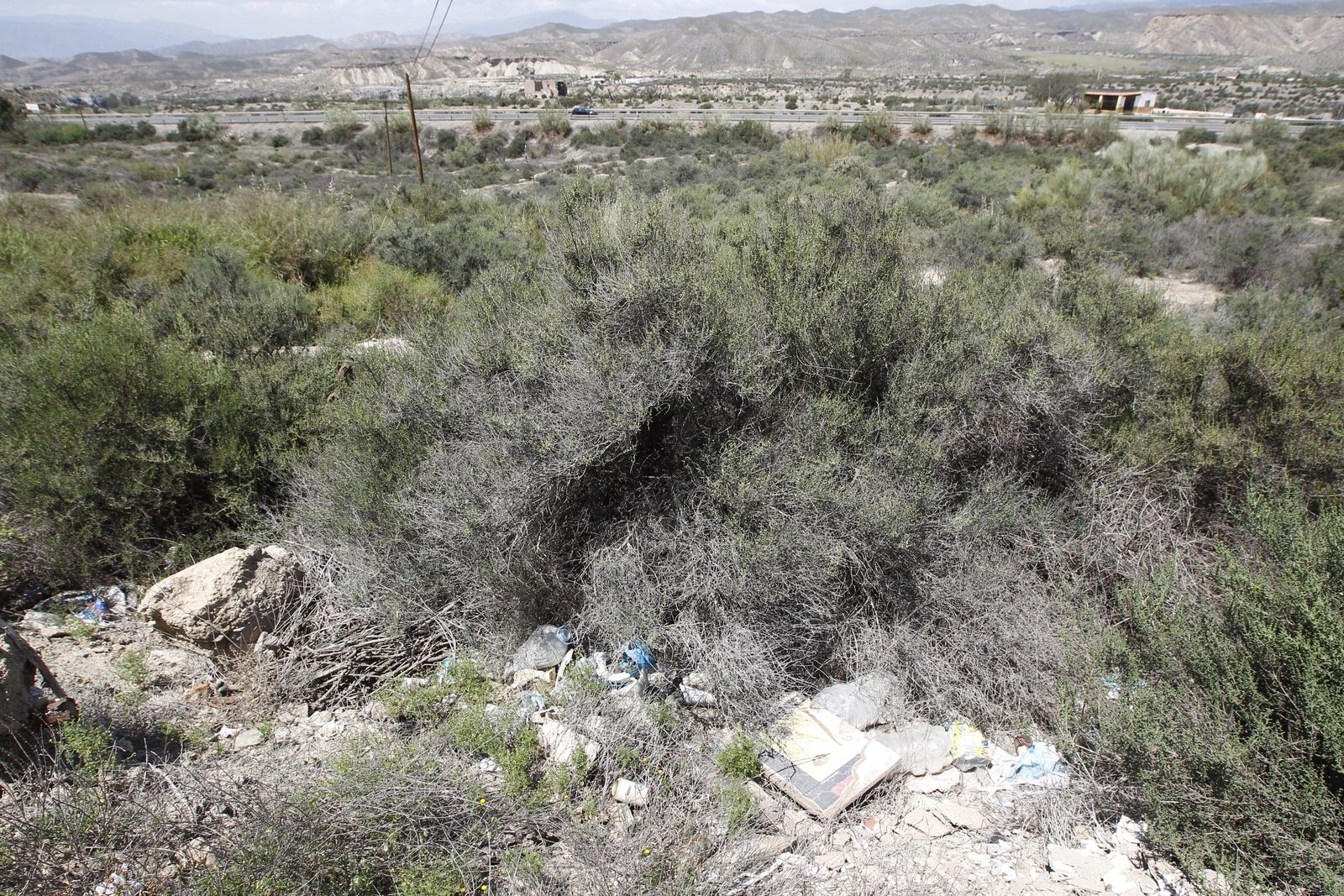 Fotogalería basura en el Desierto de Tabernas