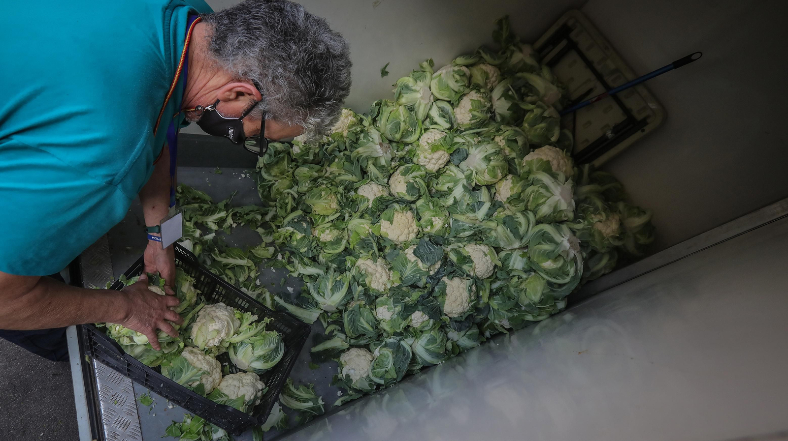 Músicos con 'Alma' solidaria