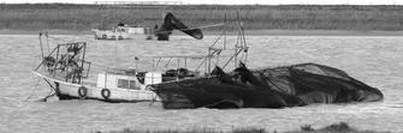 El Litri sostiene un puñado de angulas vivas en su restaurante de Trebujena