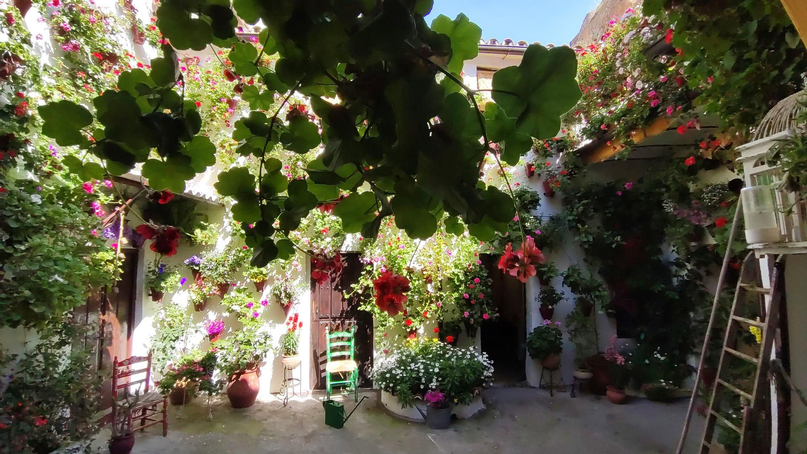 Las fotos del patio de San Basilio, 14 en tiempos de crisis