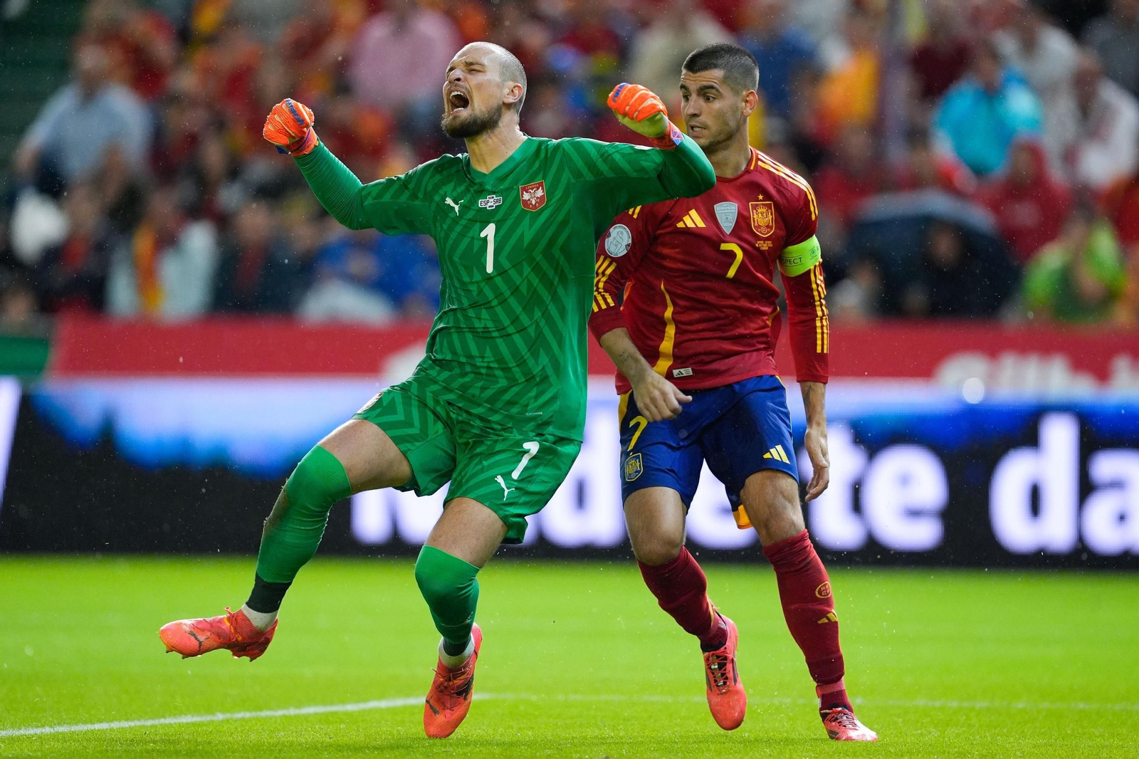 Las fotos del España - Serbia en Córdoba
