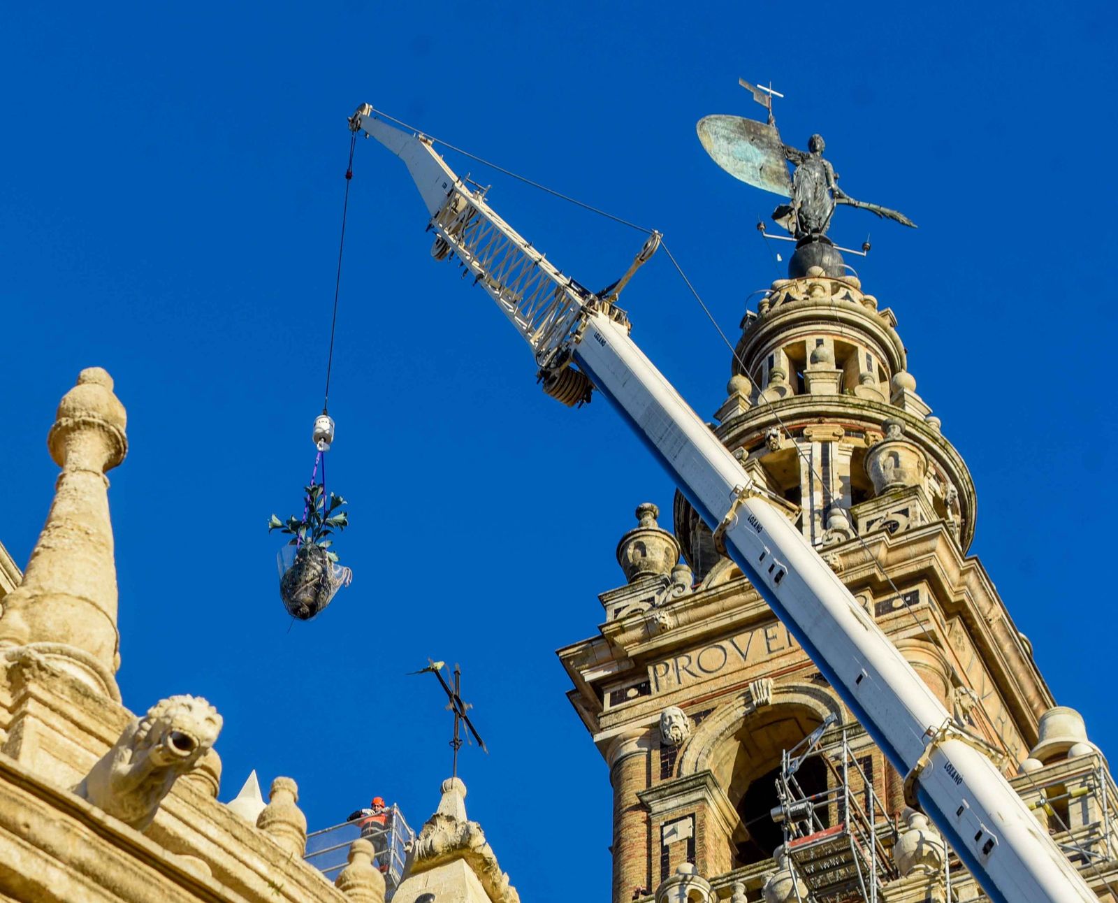 La retirada de las jarras de las azucenas de la Giralda, en imágenes