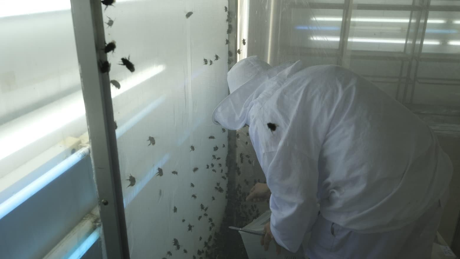 La industria auxiliar, pilar básico de la agricultura almeriense