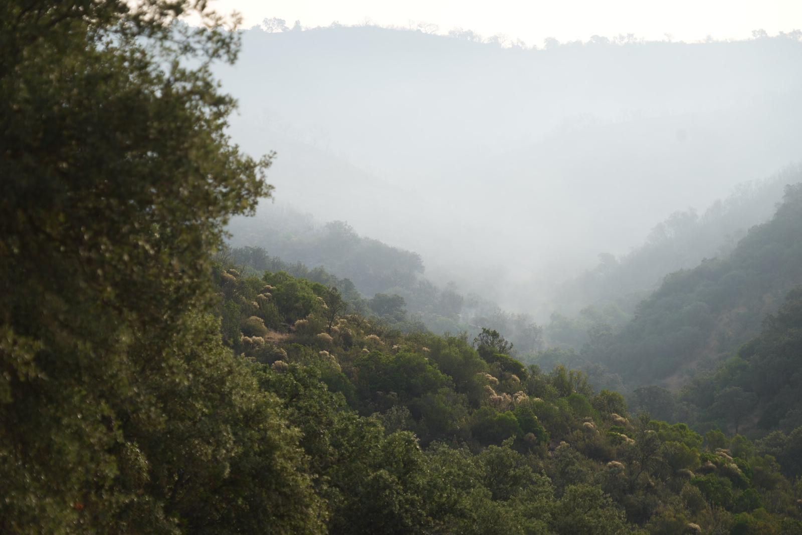 Paraje La Canaleja, en Pozoblanco, lleno de humo por el incendio.