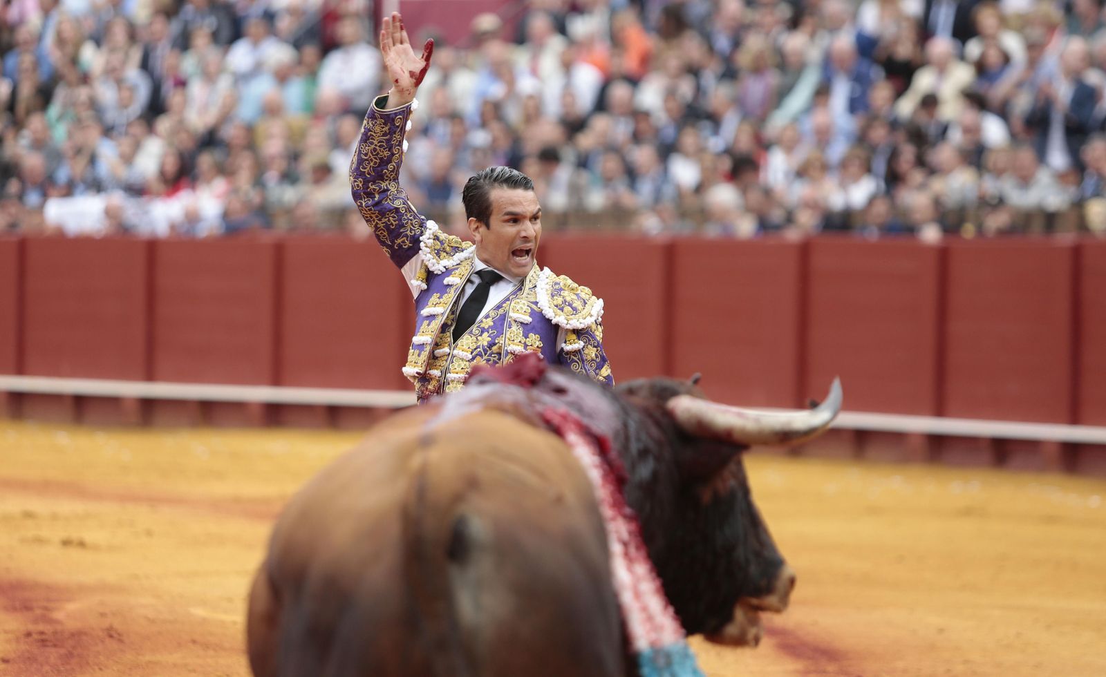 Las imágenes de la duodécima de abono de la Maestranza